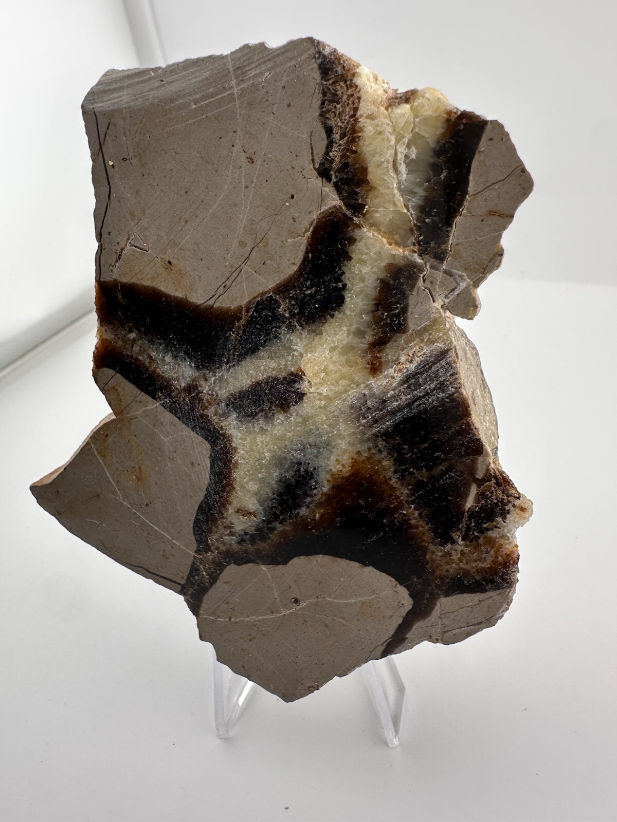 Polished Septarian End Piece Thick Slab 4″ X 3″ 8.3 oz Natural Art!