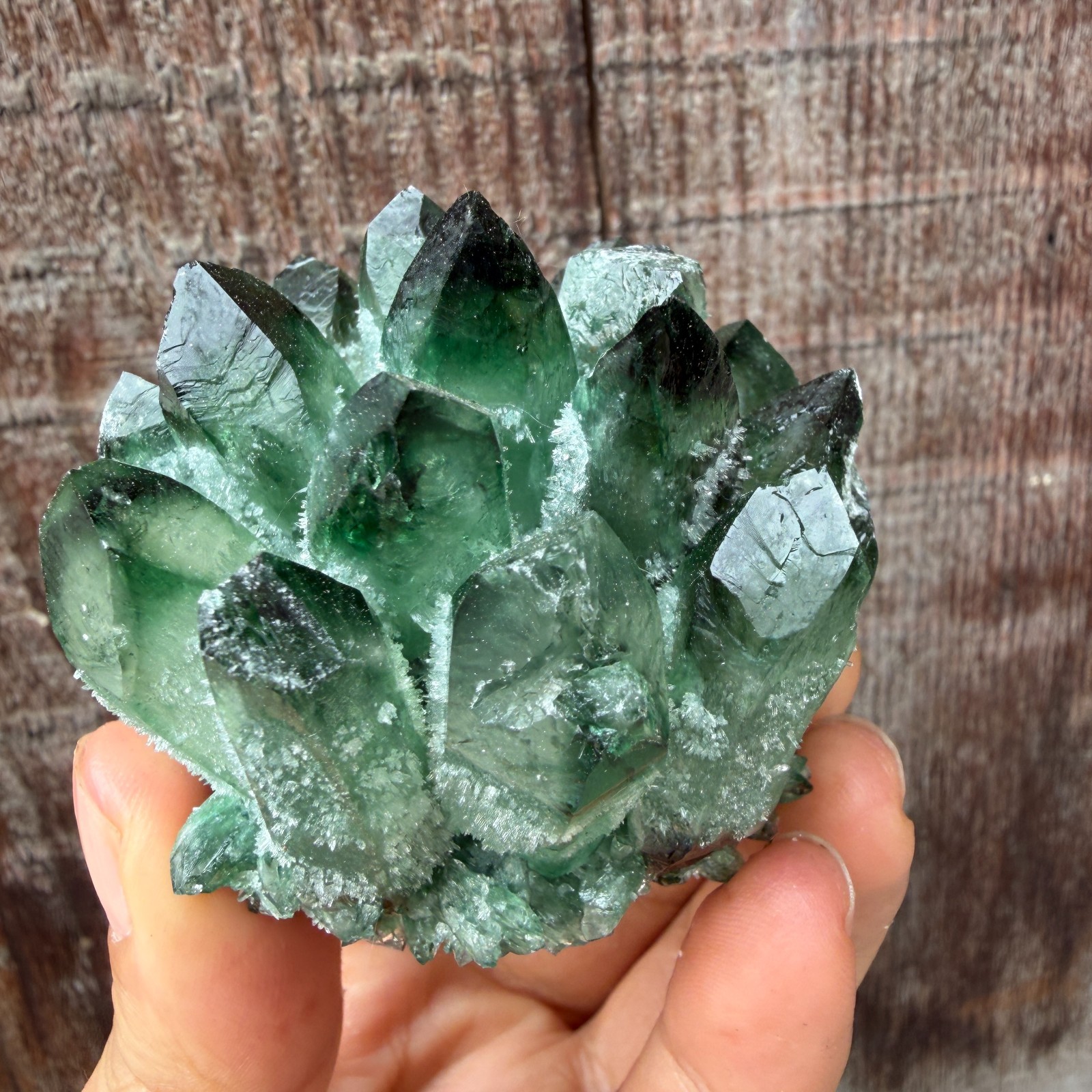 New Find green Phantom Quartz Crystal Cluster Mineral Specimen Healing 200g+ 1pc