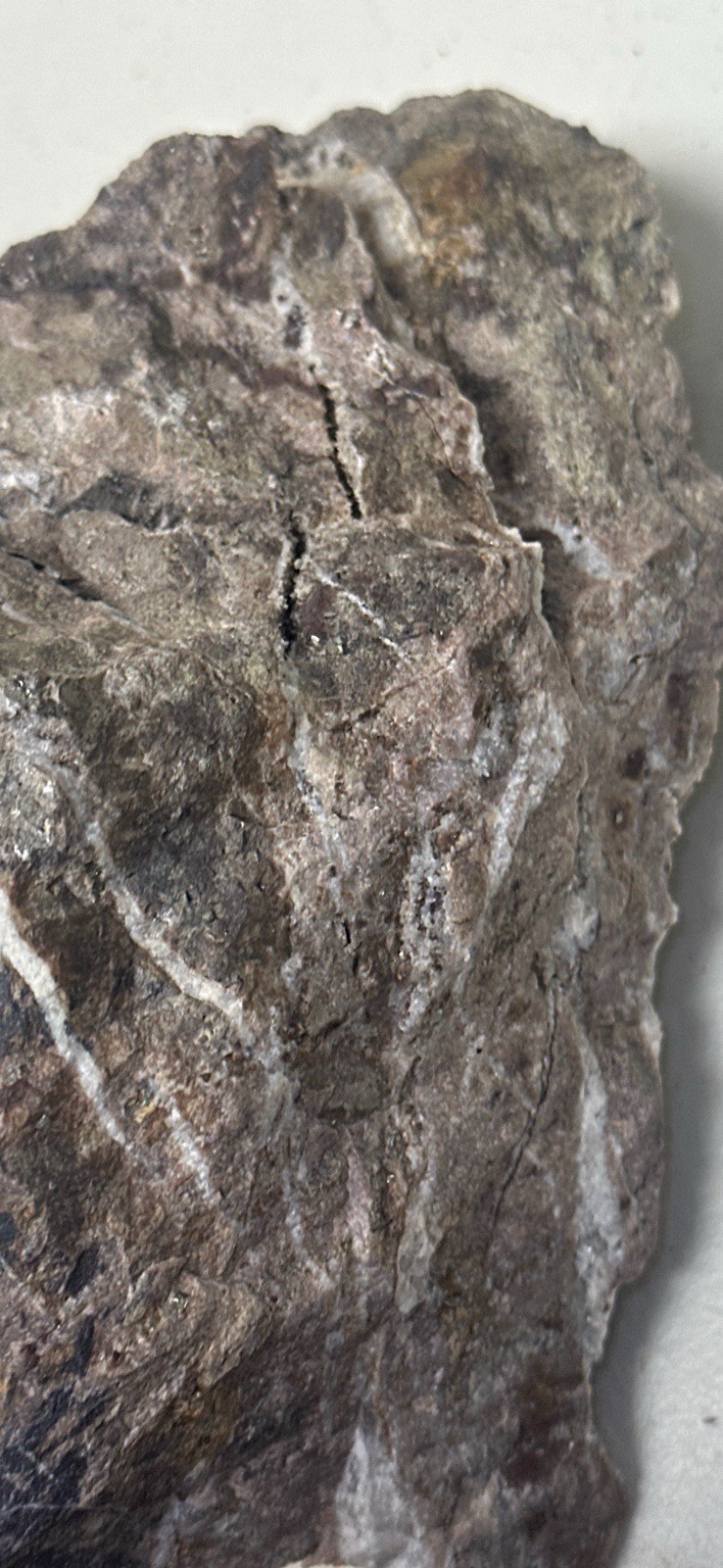 Plumas County Northern Sierra Gold Ore, Priced Right & Visible Gold + Minerals