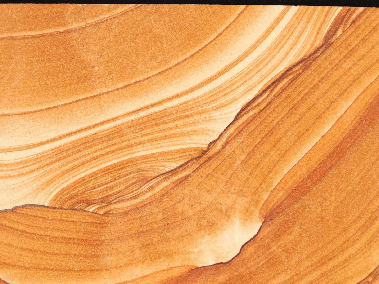 wOw! LARGER PICTURE Stone or SANDSTONE Slice/Slab with Display Stand Utah 541gr