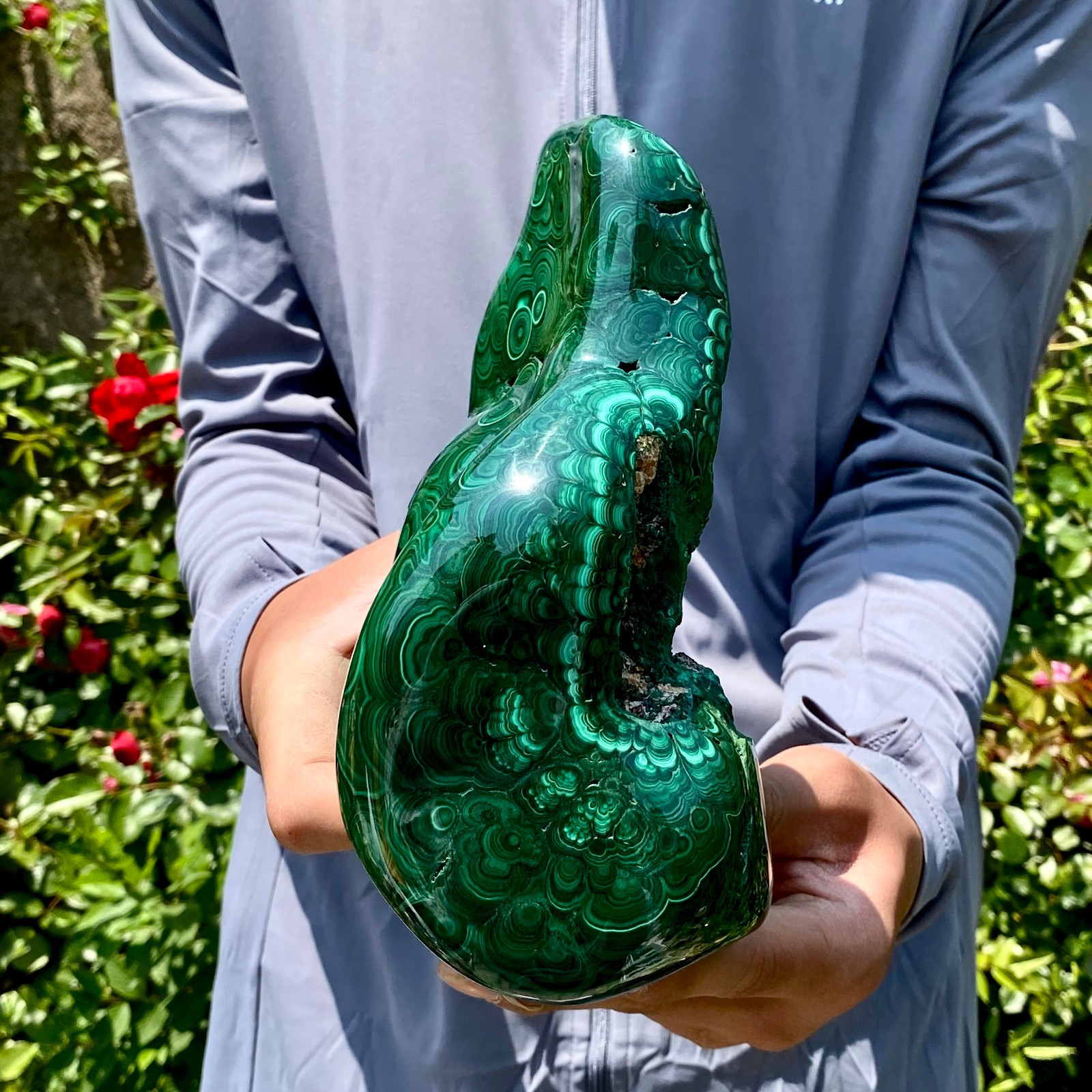 8.5LB Natural glossy Malachite egg transparent cluster rough mineral sample