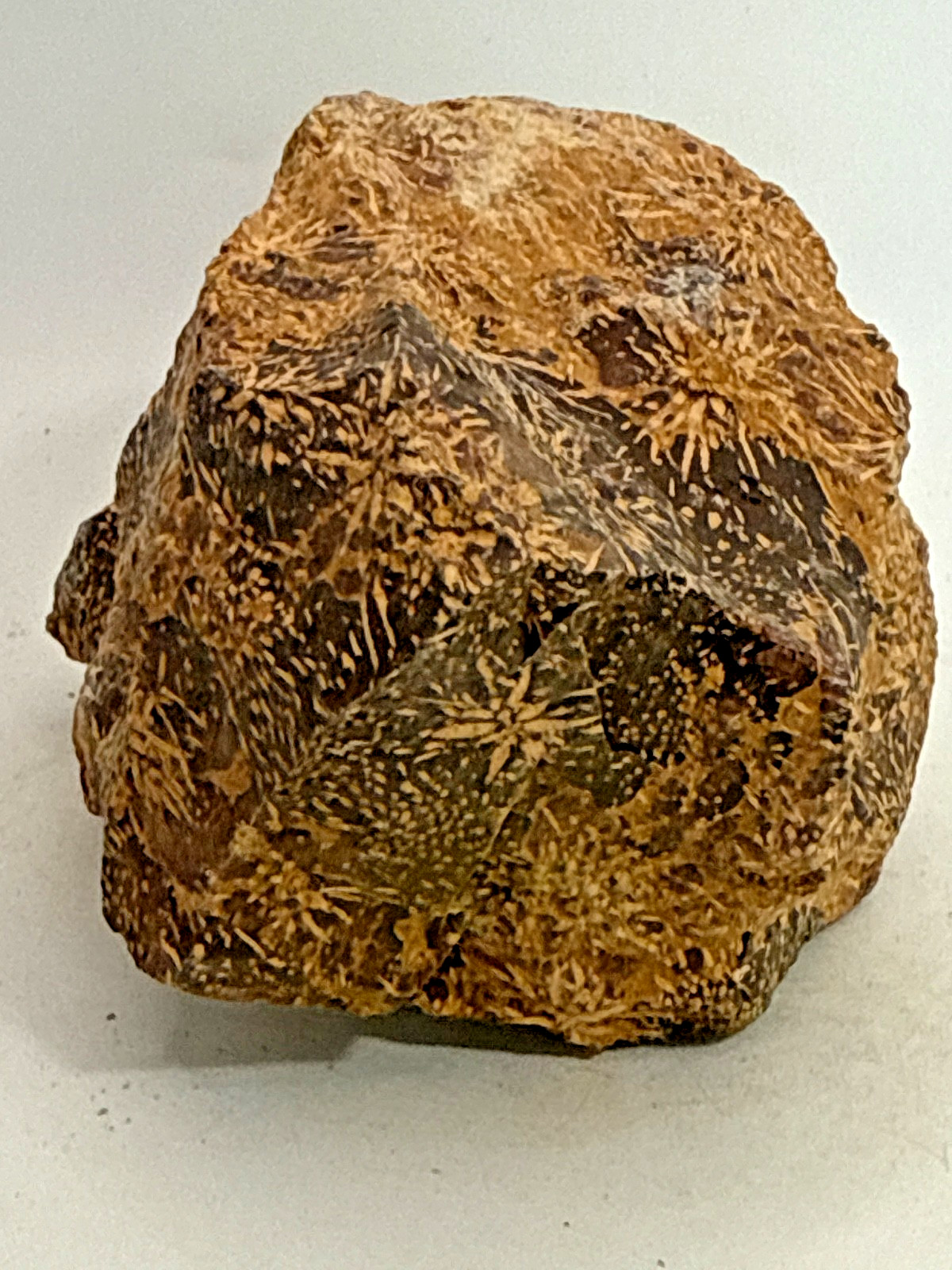 Beautiful Spider Jasper Chrysanthemum Specimen 491 Grams