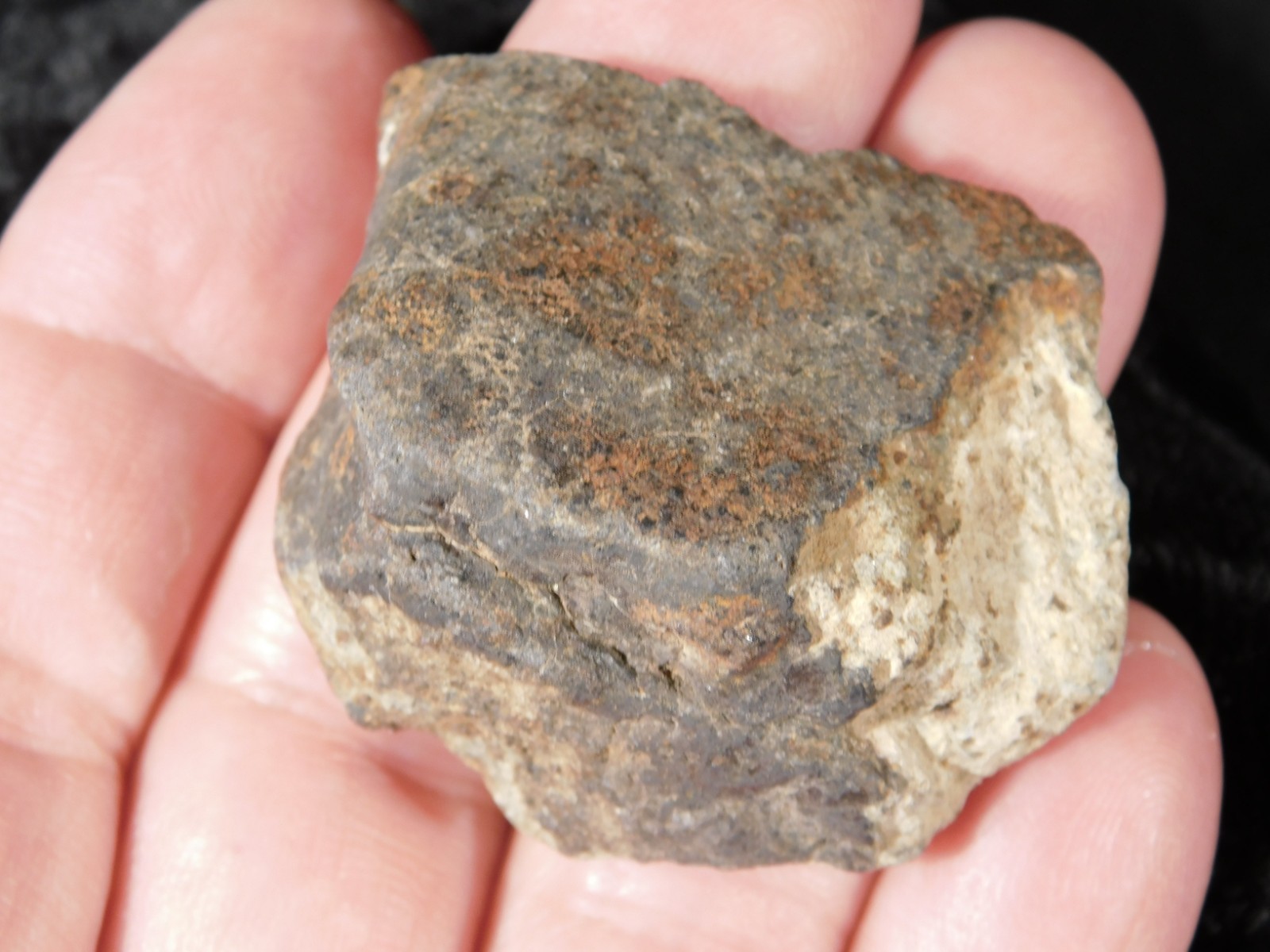 Stony METEORITE With Dark Fusion Crust 100% Natural Fell in Libya 42.2gr