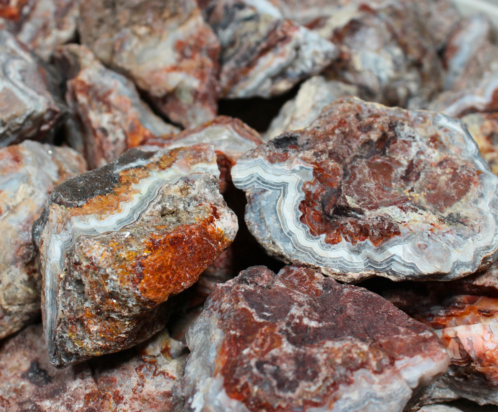 Mexican Lace Agate – Rough Rocks for Tumbling from Mexico – Bulk Wholesale
