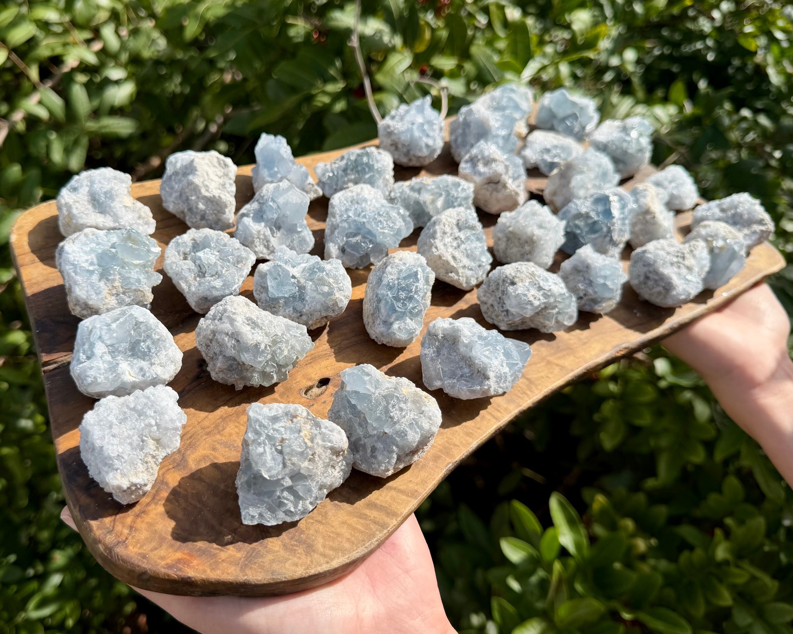 Natural Small Celestite Clusters CLEARANCE Bulk Wholesale Lots (‘B’ Grade)