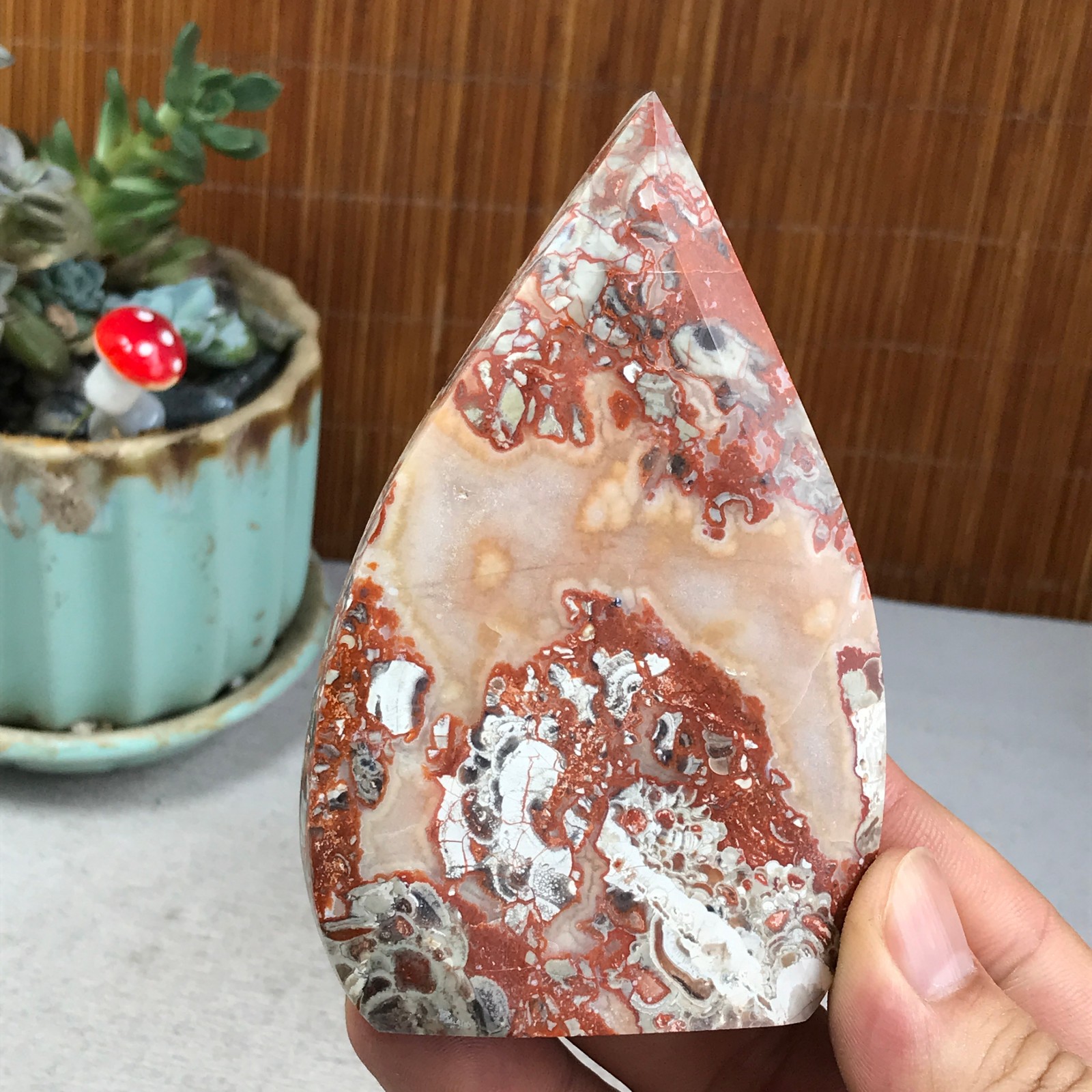 Natural money Mexico agate hand carve leaf Crystal Specimen free standing A6275