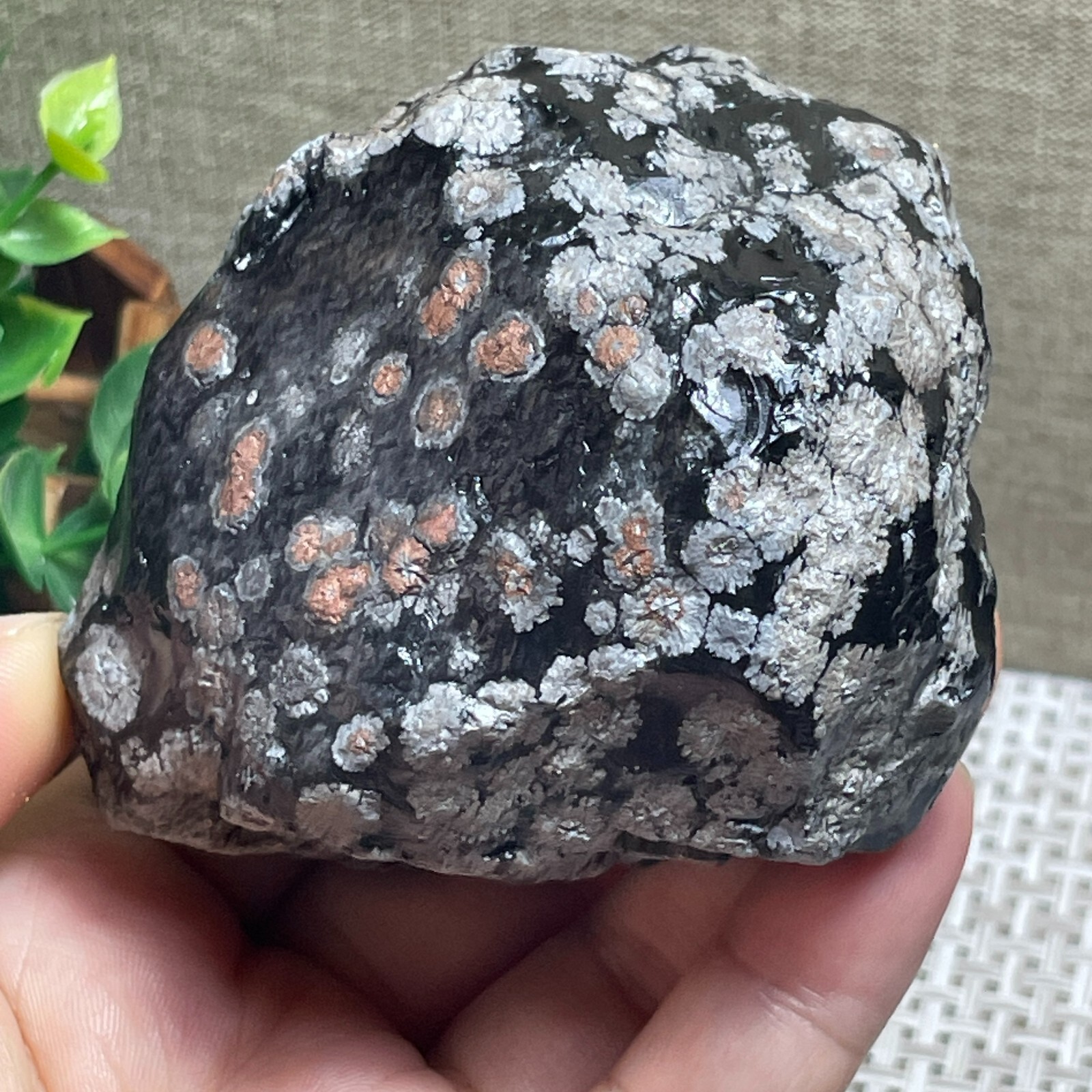 Snowflake Obsidian raw stone rock rough original specimen 300g A143