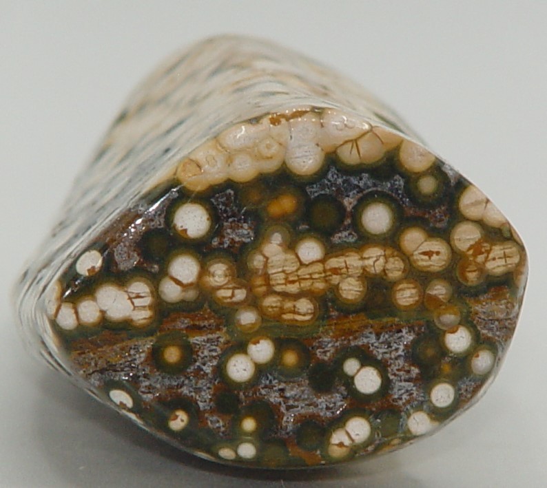 Ocean Jasper Bubble Orbicular Tower 8th Vein OJ Polished Crystal 5.75″ 356g