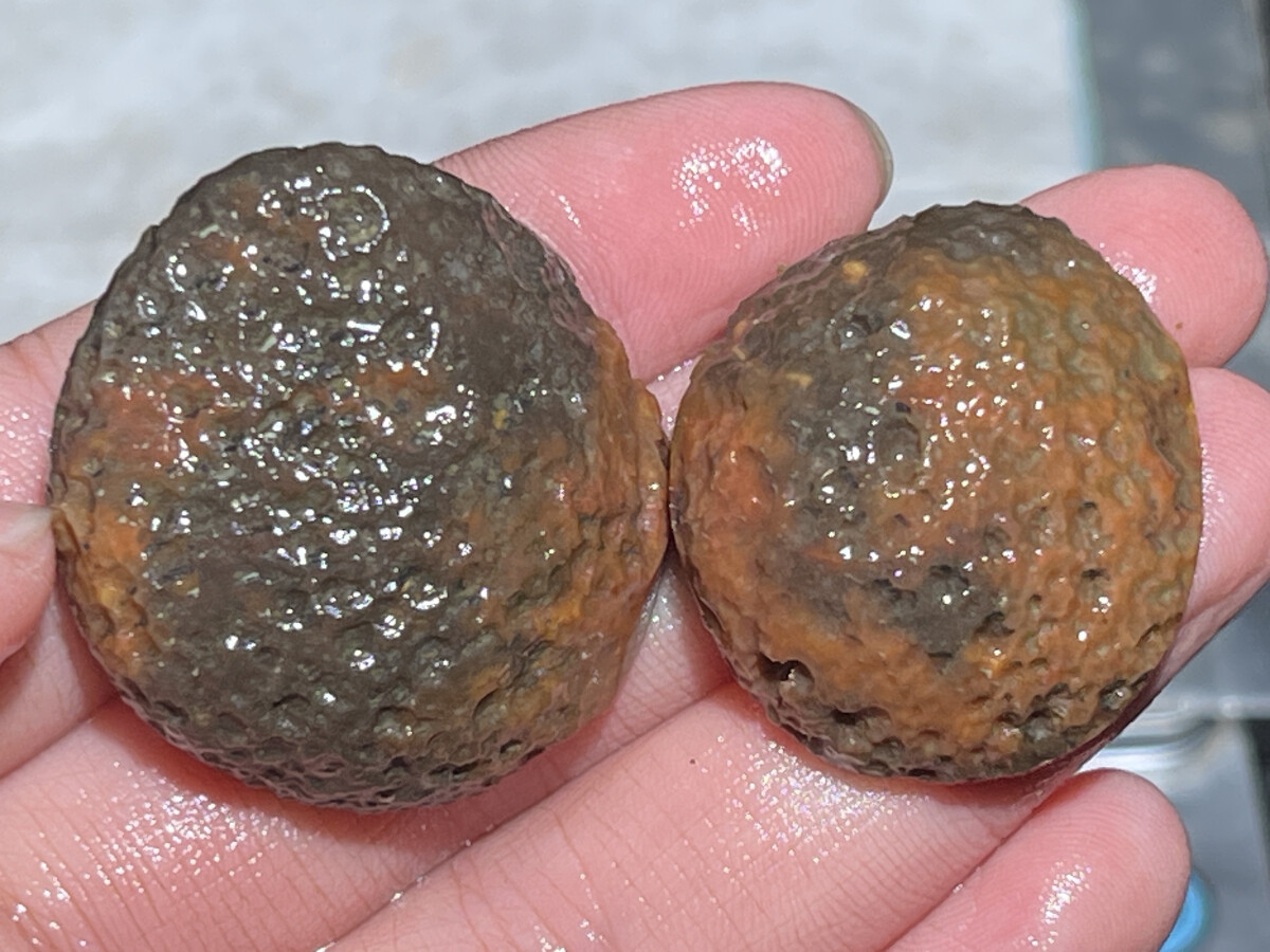 1Pair China Agate Hebei xuanhua natural Crystal Geodes collectible 28g D088