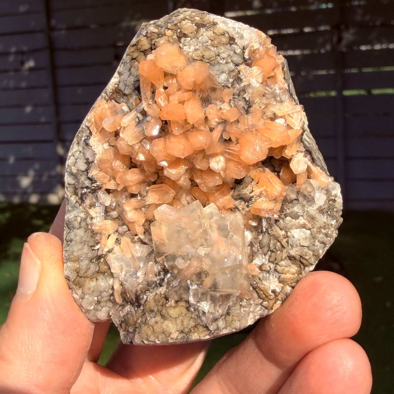 Rare Calcite Stellerite Julgodite Geode India Dual Wave UV Fluorescent Stand
