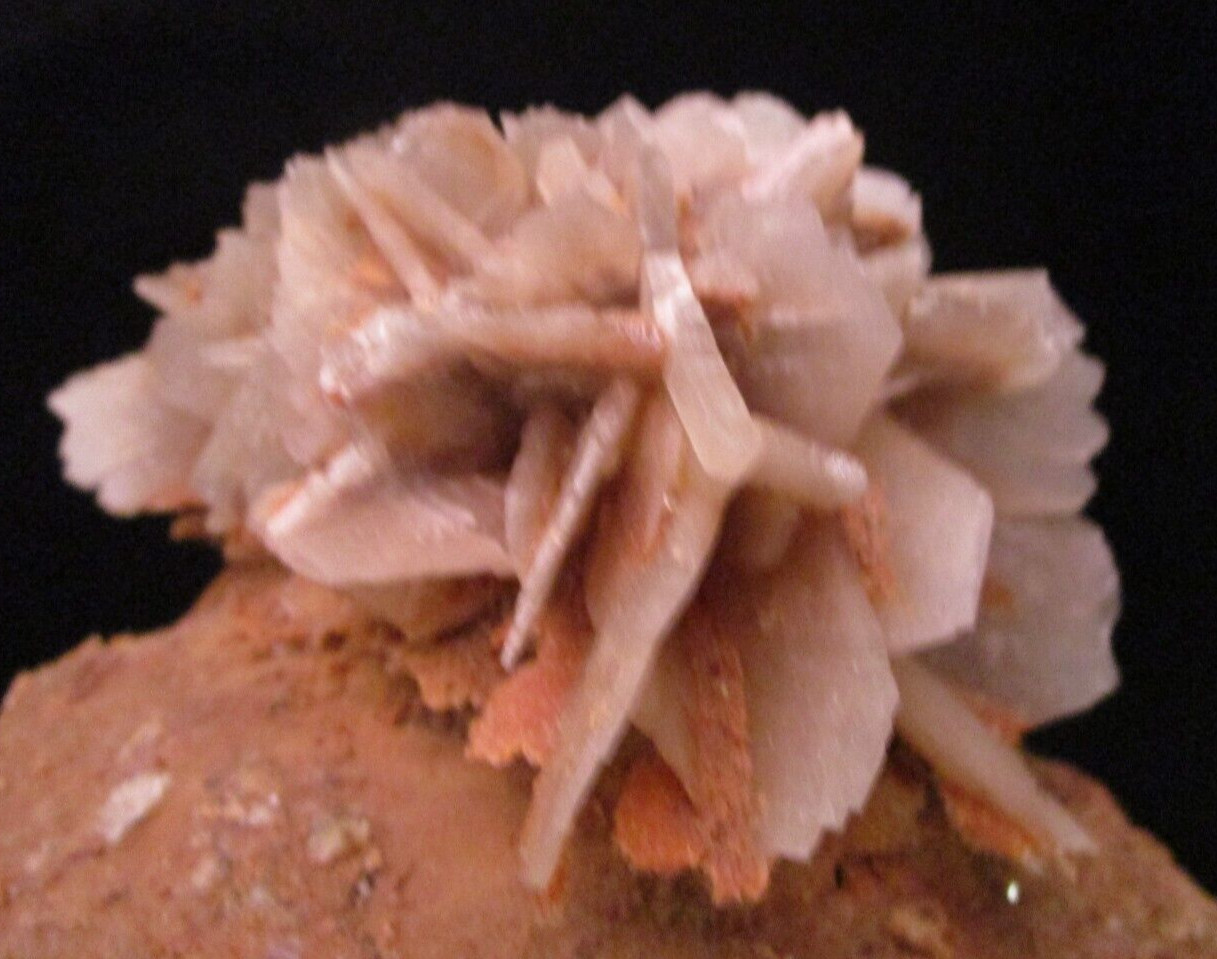 * Interesting and Unique Barite Gem Crystal Blade Clusters on Tan Matrix
