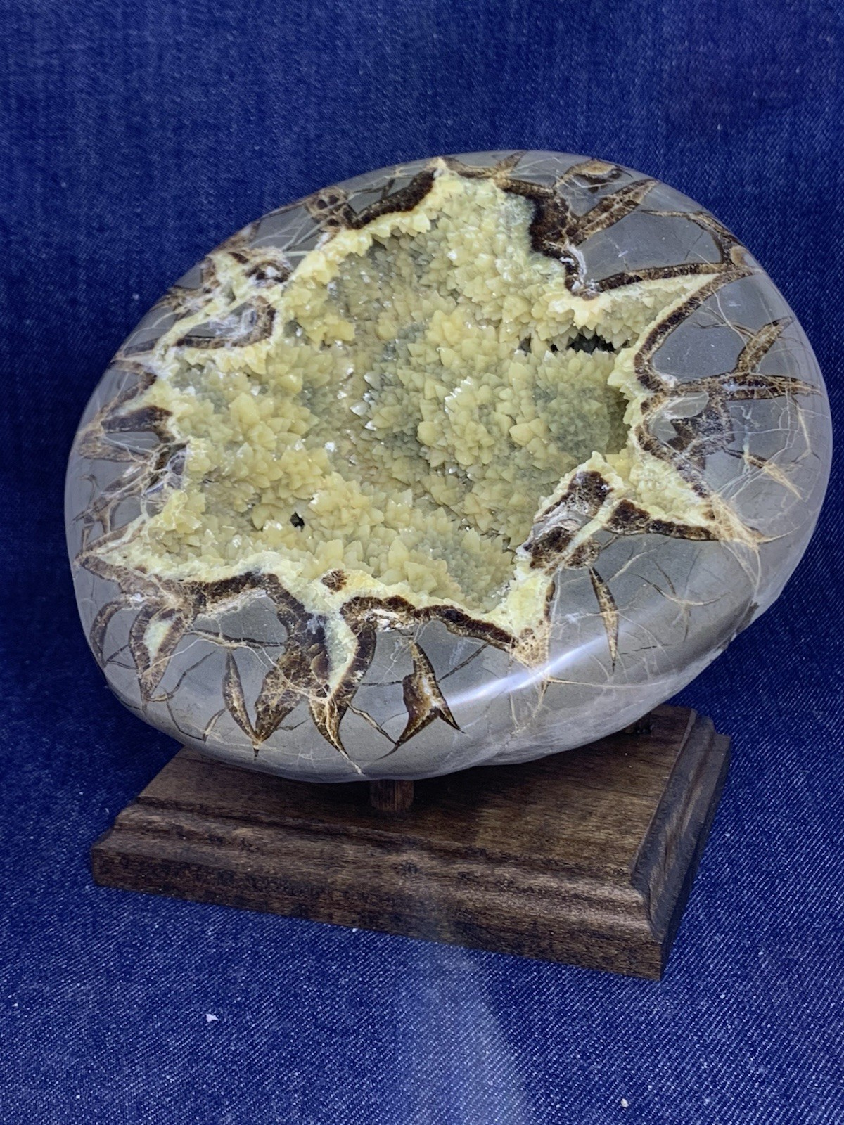 Septarian Nodule Dragon Stone Hollow Half ( Utah) Description Card, And Stand