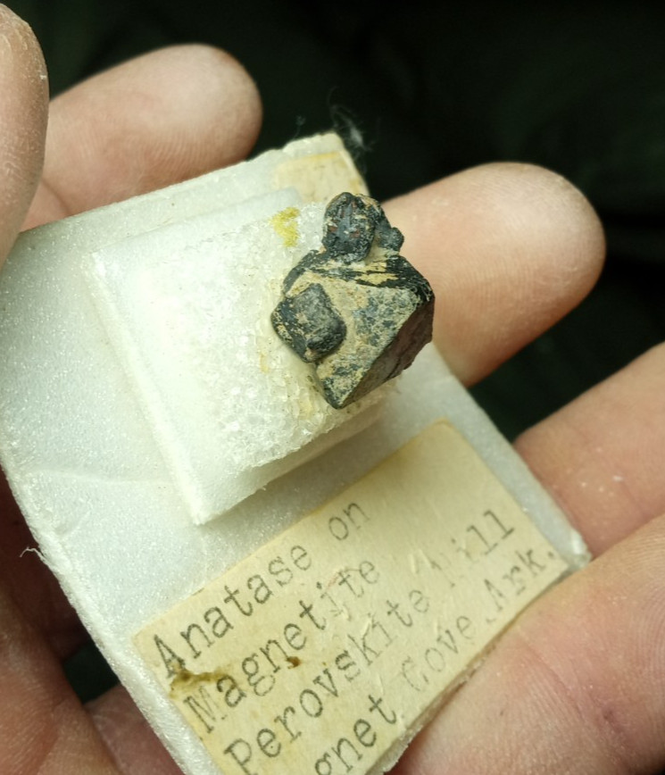 Old Collection Anatase Crystal on Magnetite Magnet Cove Arkansas Perovskite Hill