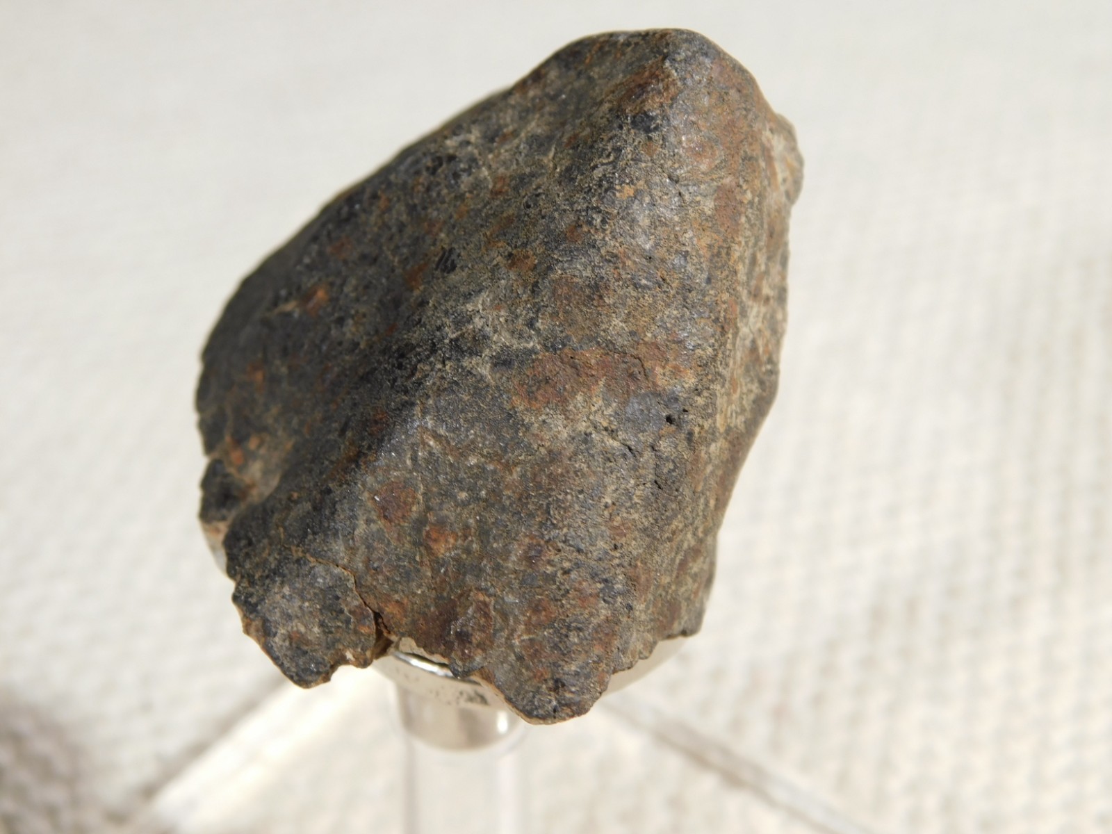Classified NWA 8245 METEORITE 100% Natural FELL in Erfoud, Morocco 63.2gr