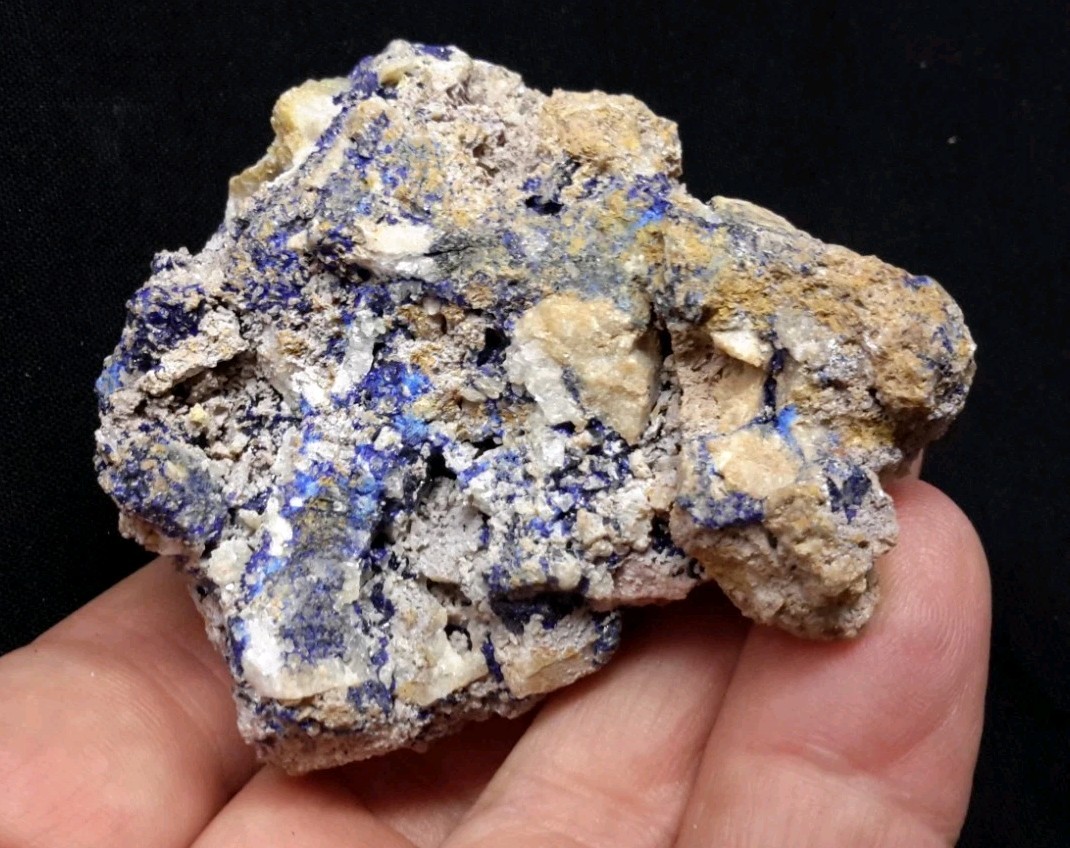 12 Piece AZURITE with QUARTZ and FLUORITE from Sierra Rica, Chihuahua, Mexico