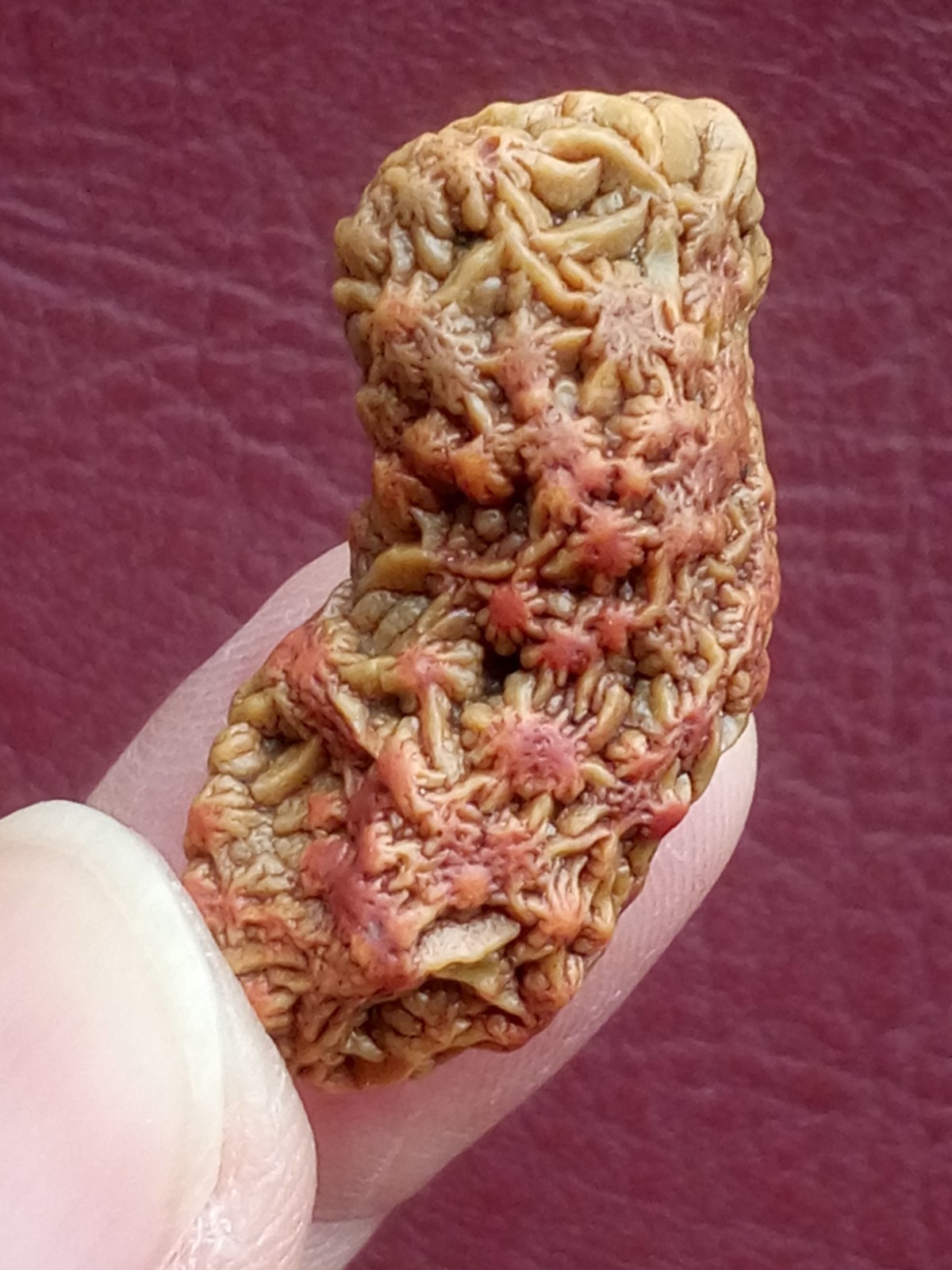 5 pieces Beautiful Natural GoBi agate veins agate Landscape stone
