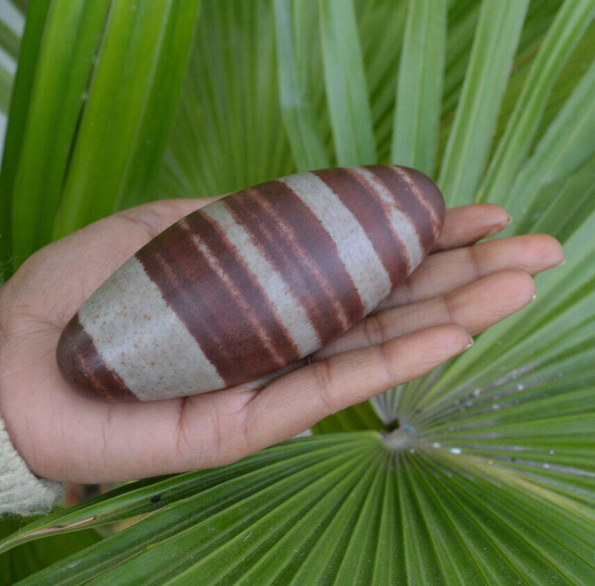 Shiva Lingam Polished Stone | Narmarda River Stone -1126