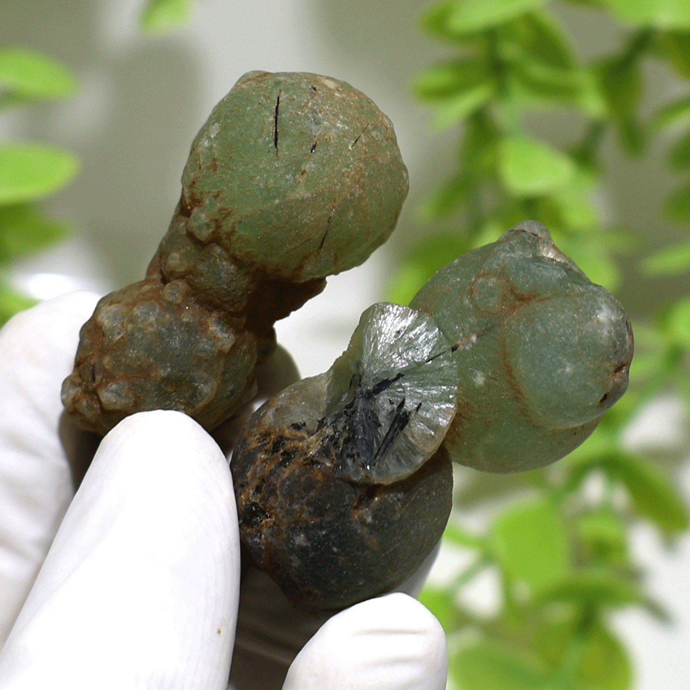Earth’s Geometry~ 2 PC Ancient Orbs Of Prehnite Rare Mineral Crystal Specimens