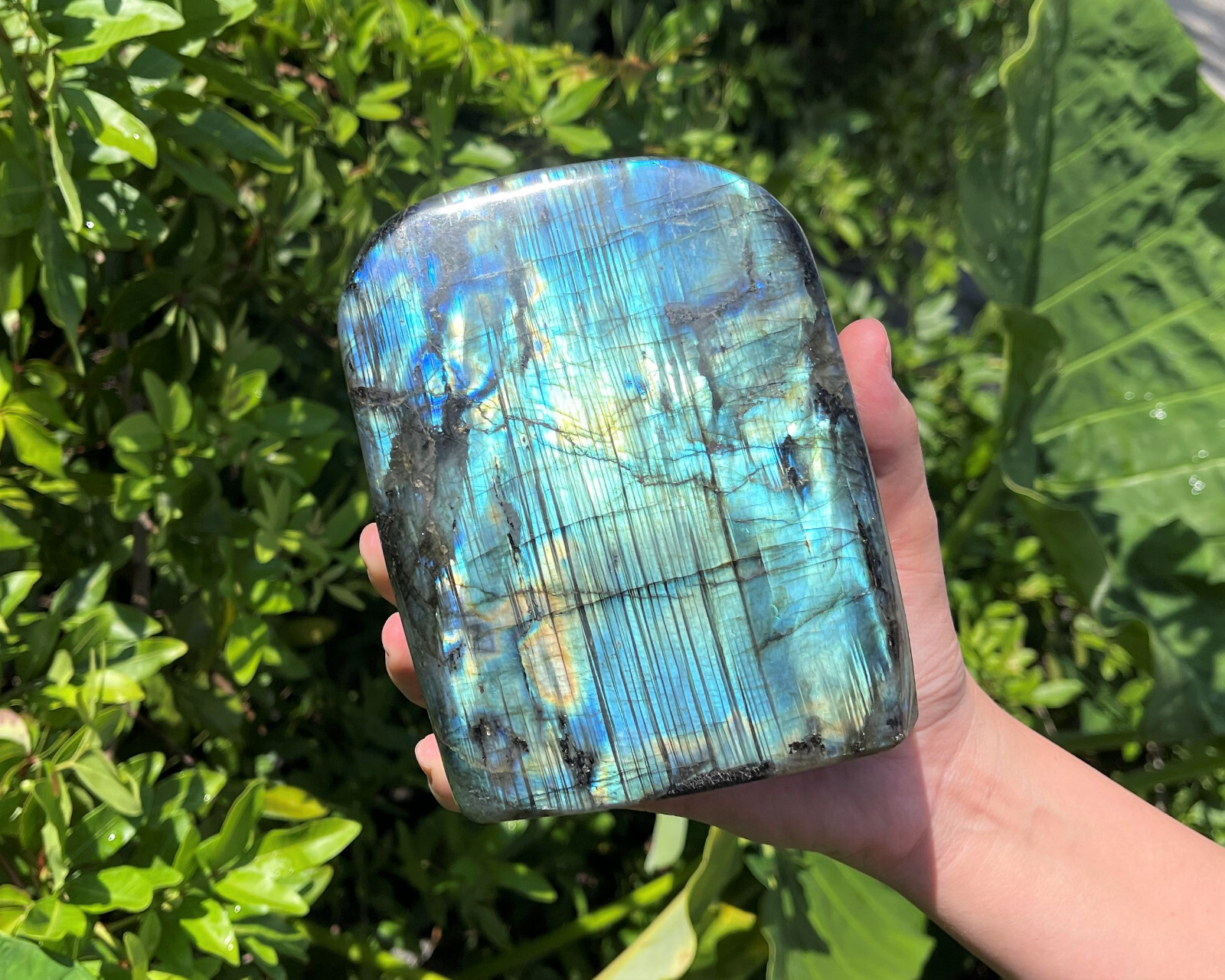 JUMBO Polished Labradorite Freeform: High Flash Free Standing Crystal Specimens