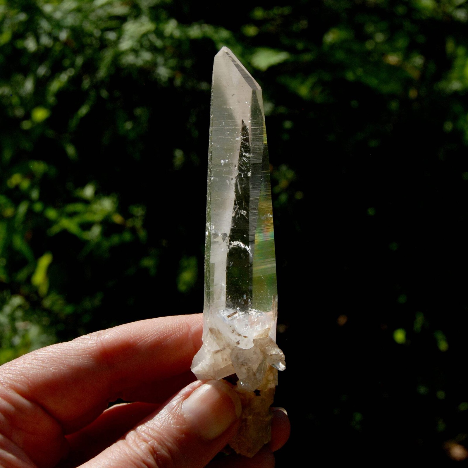 4.5in 55g Lemurian Seed Quartz Crystal Laser, Colombia