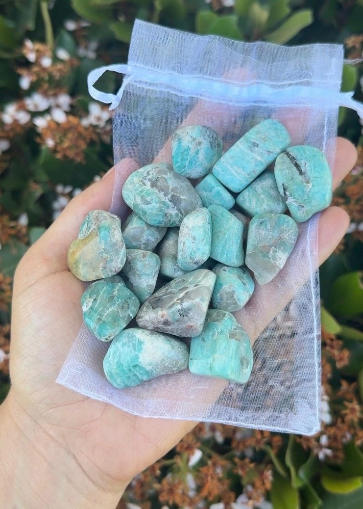 Bulk Wholesale Lot 1/2 Pound Tumble Crystals – Mixed, Carnelian, Tigers eye, ETC