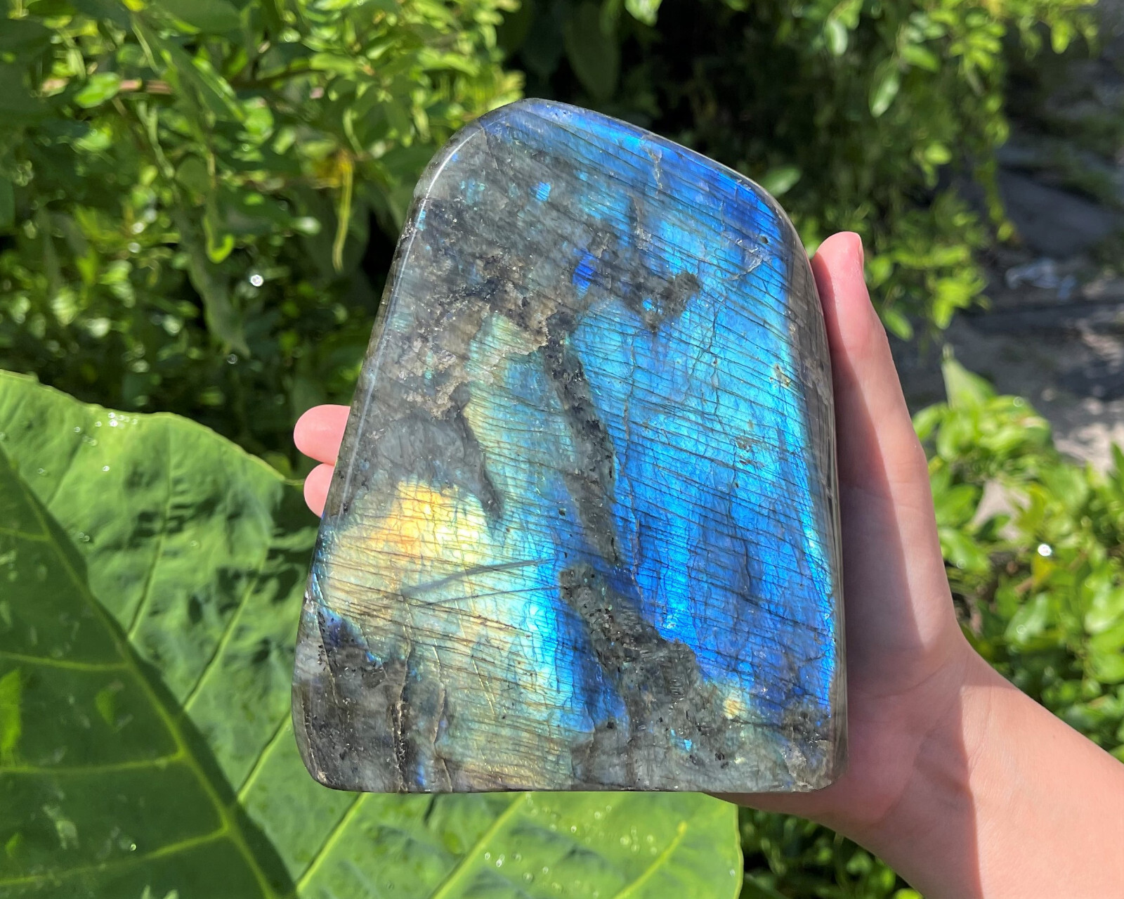 JUMBO Polished Labradorite Freeform: High Flash Free Standing Crystal Specimens