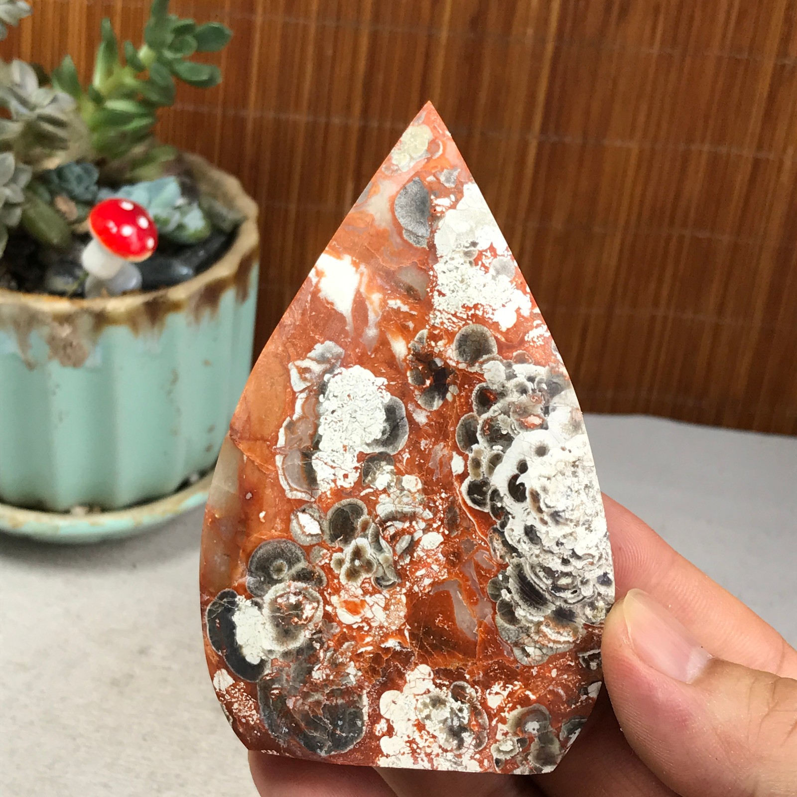 Natural money Mexico agate hand carve leaf Crystal Specimen free standing A6266