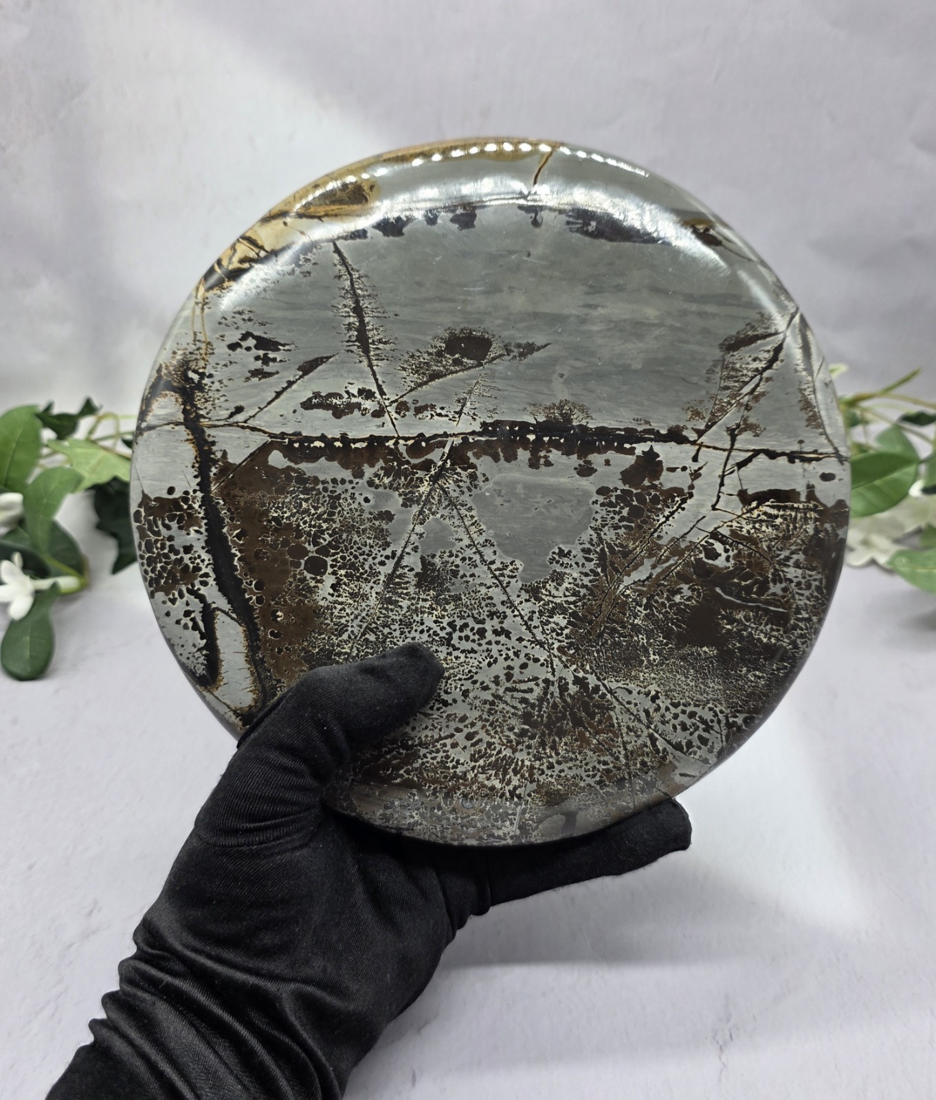 Large Round Picture Jasper Scenic Display Plaque with Wood Stand 5 Pounds +