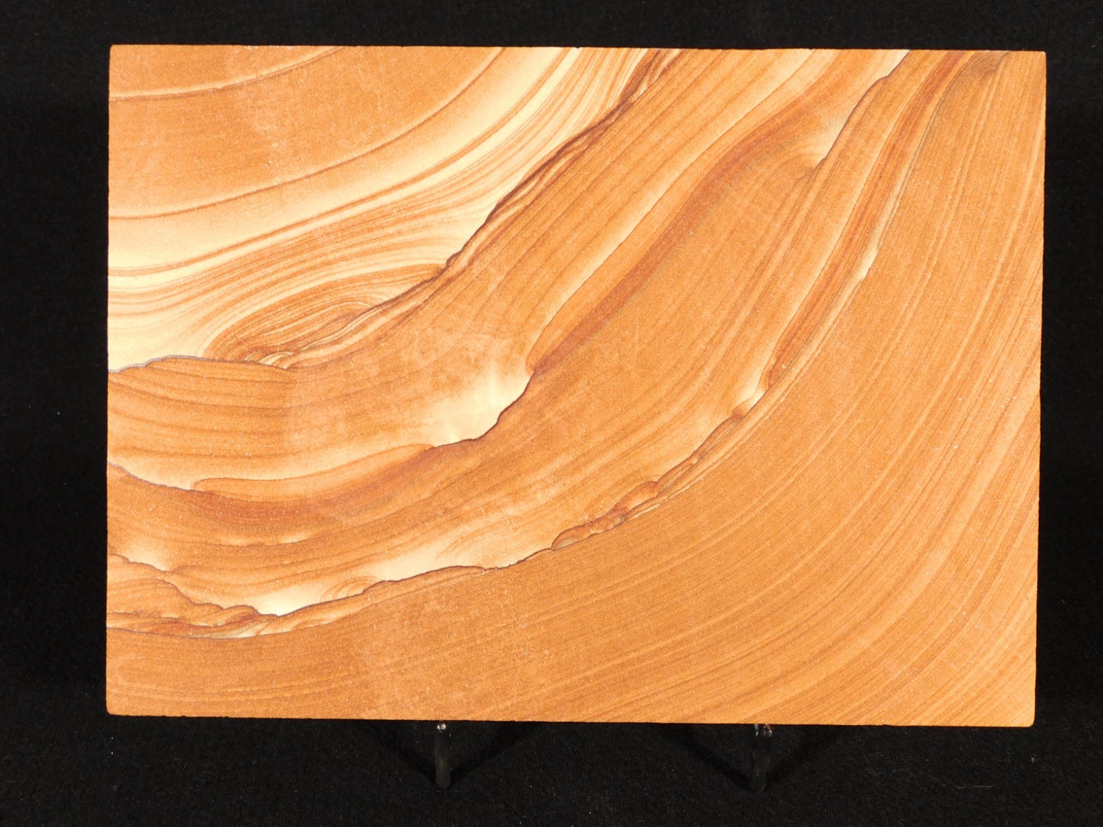 wOw! LARGER PICTURE Stone or SANDSTONE Slice/Slab with Display Stand Utah 541gr