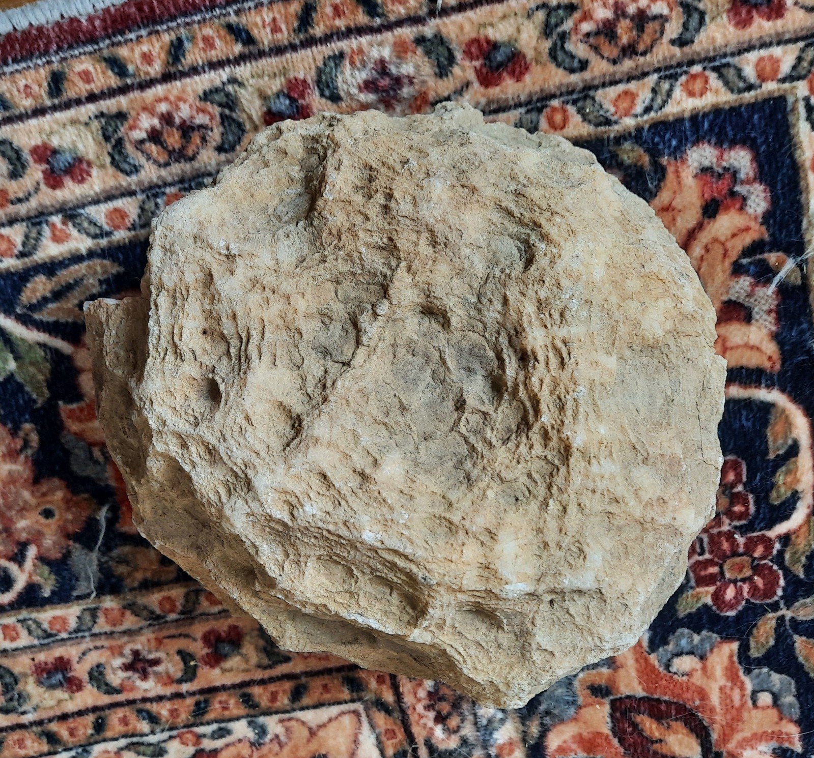 Kentucky Geode Fragment, Large Crystal Cluster. 3+ Pounds 6+ Inches