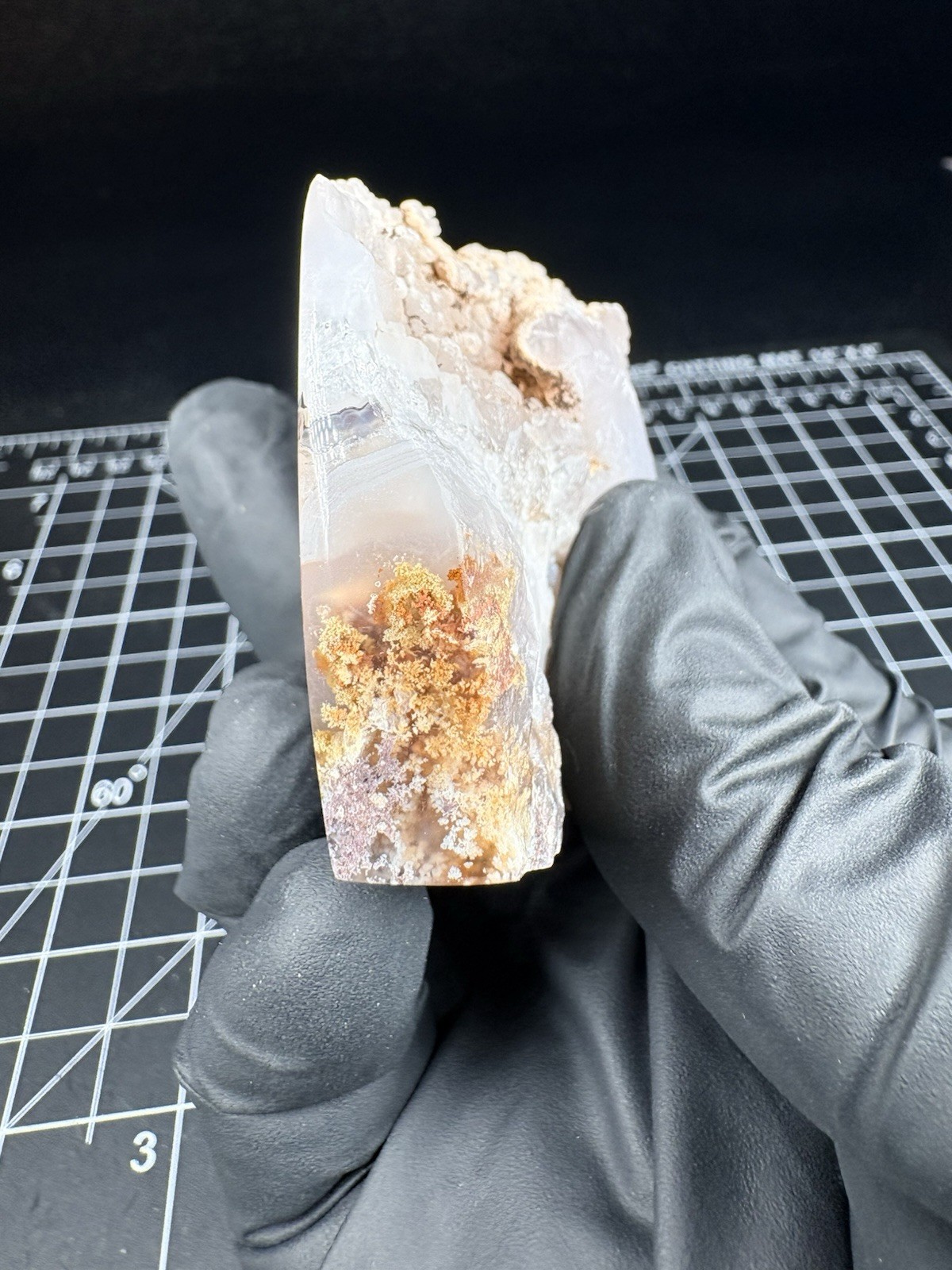 Oregon Moss Agate Free Form Polished Collector Specimen Display Foot Cut Unique