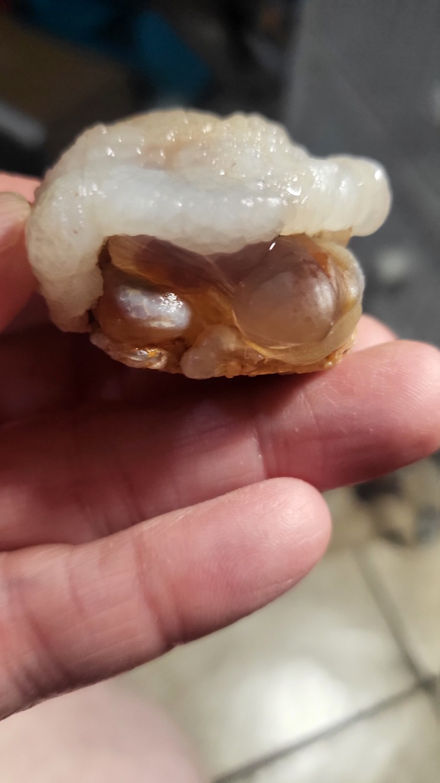 Highly Prized Rock and Mineral Collection
