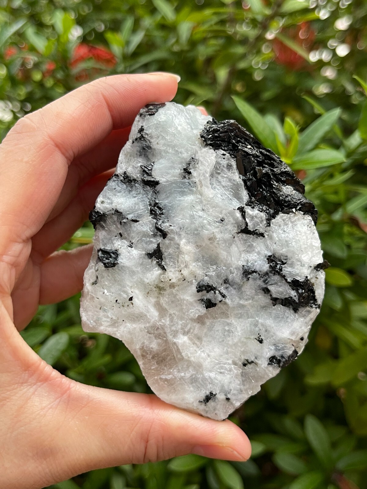 EX Large Rainbow Moonstone Raw Natural Stone,2.5-10 Inch Rough Rainbow Moonstone