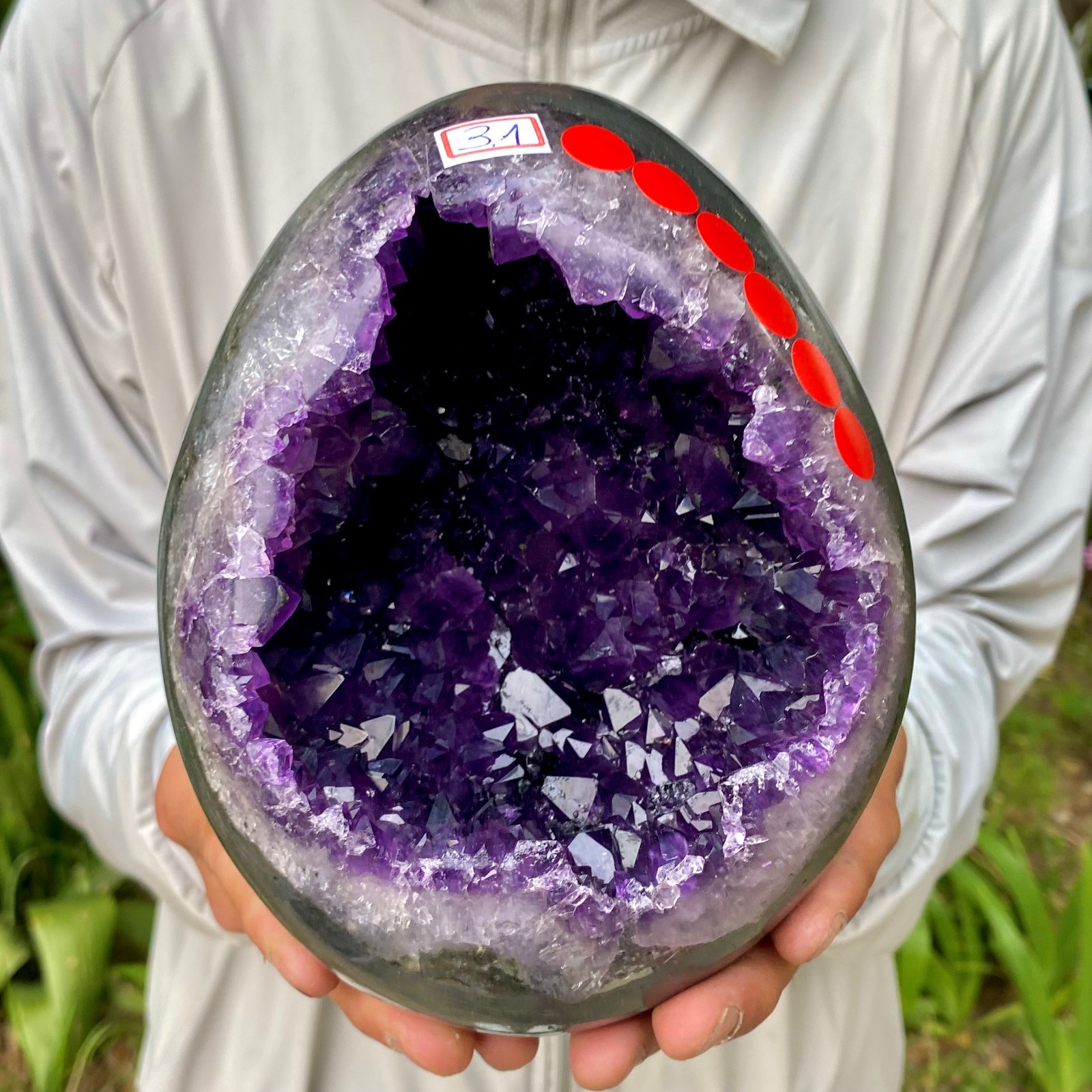 6.81LB High quality Natural Amethyst geode quartz crystal Dinosaur egg healing