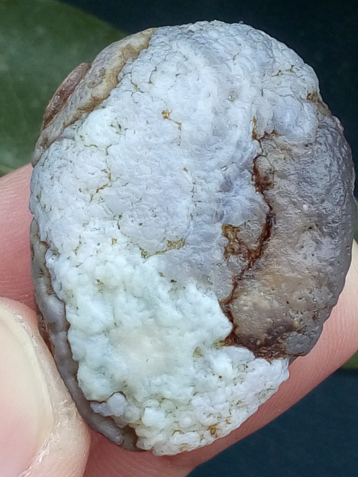 12g/36mm Natural GoBi Agate eye agate/stone cute collection