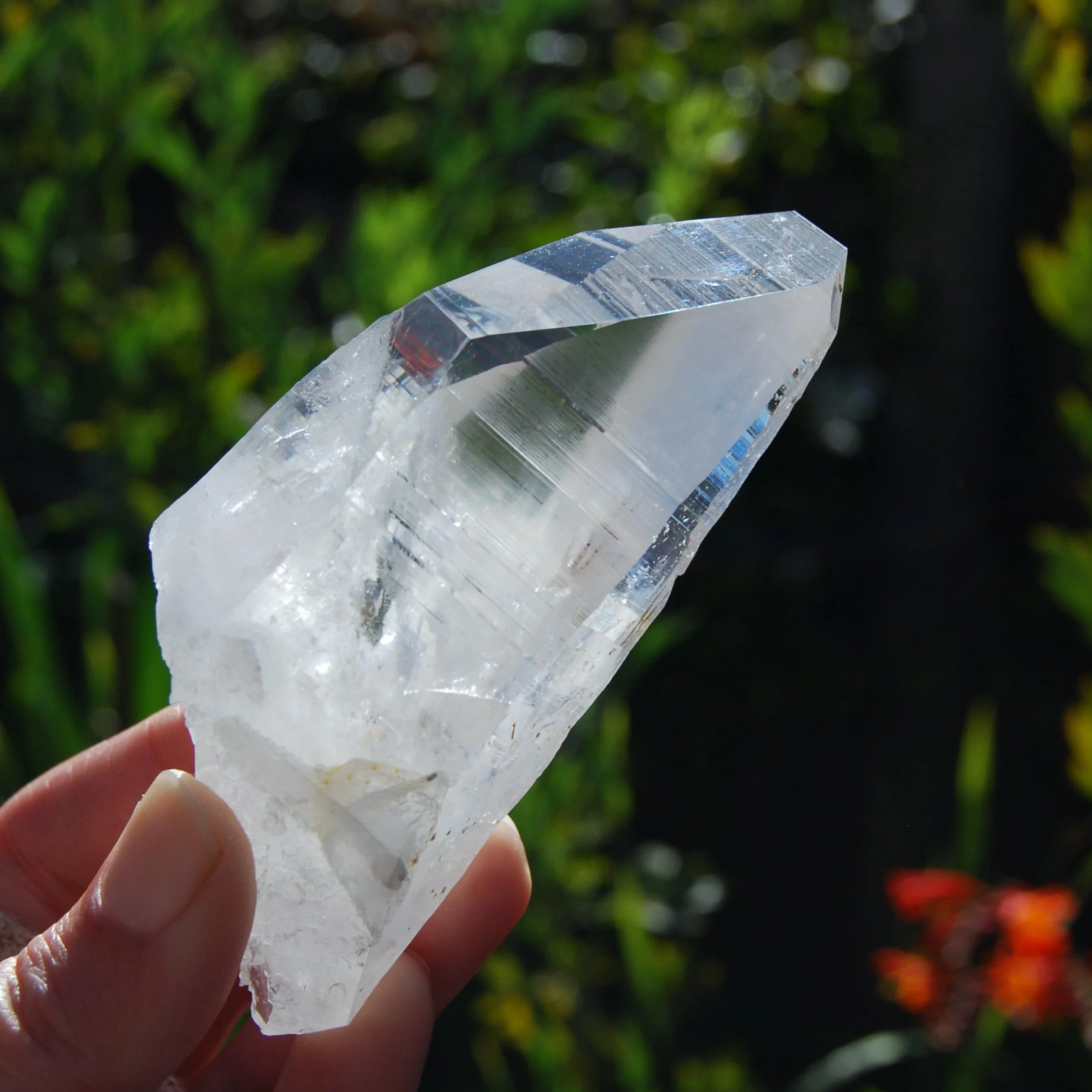 4.25in 227g Colombian Lemurian Seed Crystal Laser Receiver, Self Healed Optical