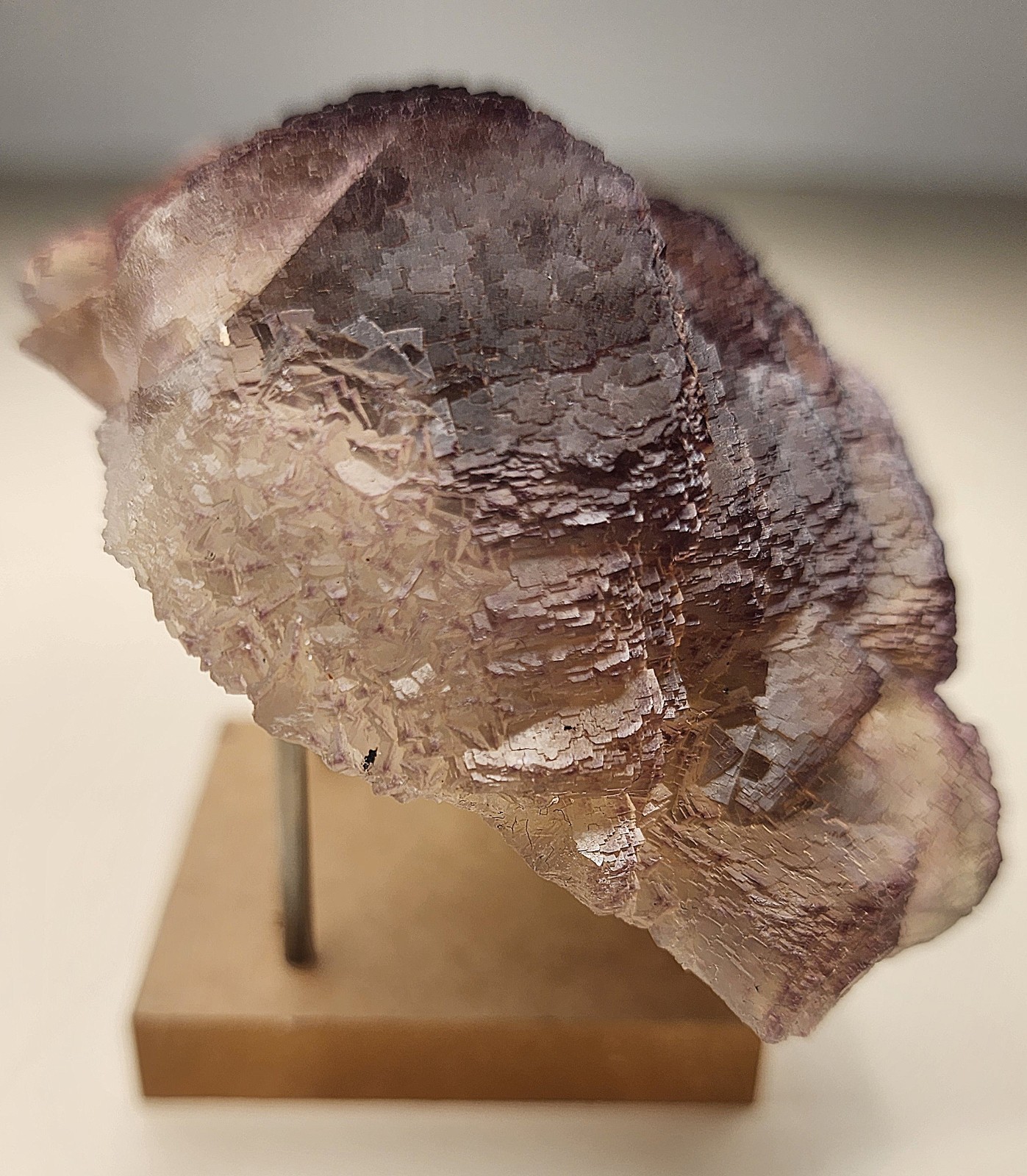 ✨️Terraced tricolor fluorite with chevron zoning Qinglong Mine, China✨️