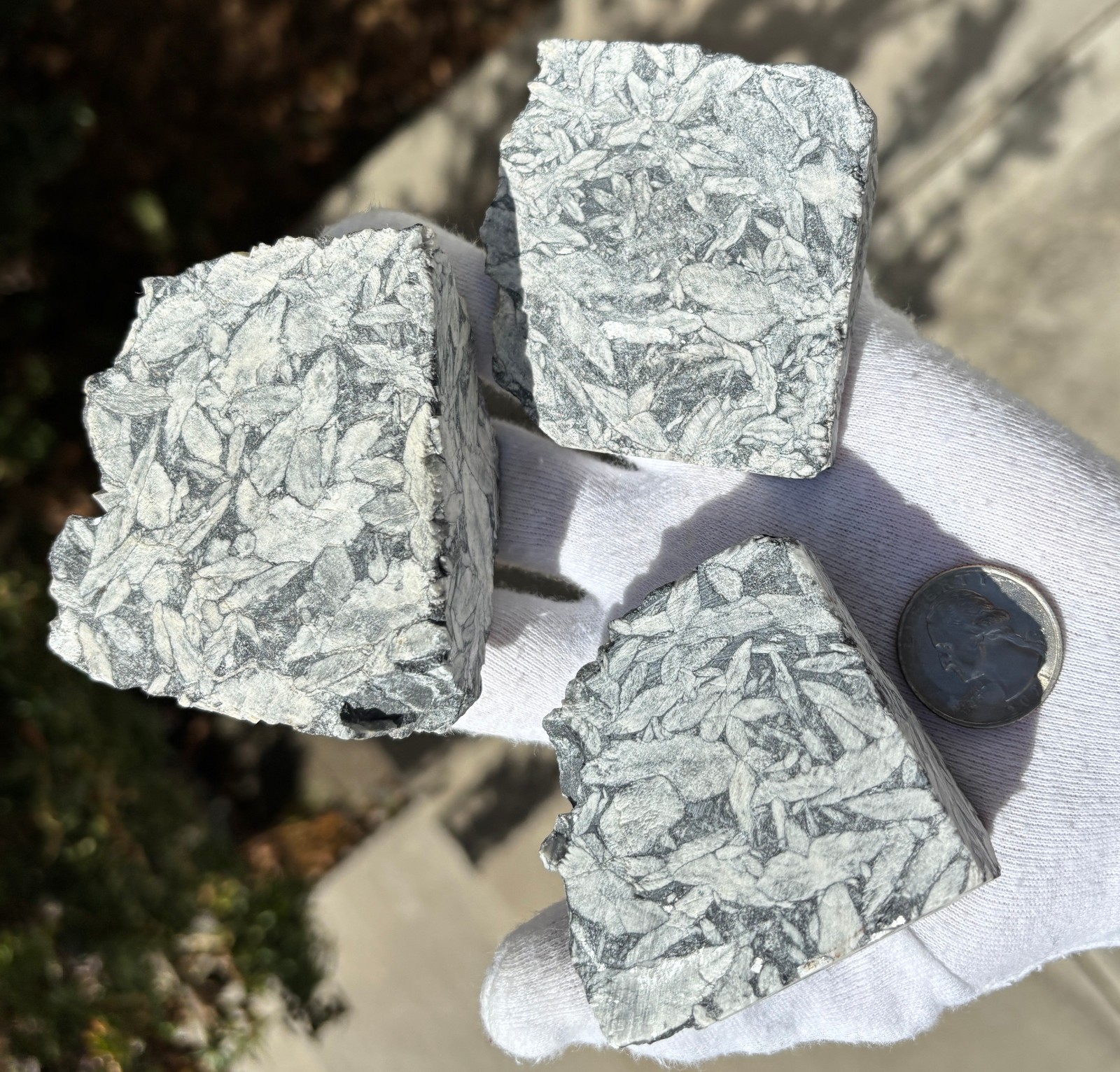 1lb+ LOT PINOLITH JASPER ROUGH LARGE SPECIMENS SPECIMEN 1 POUND LARGE CHUNKS
