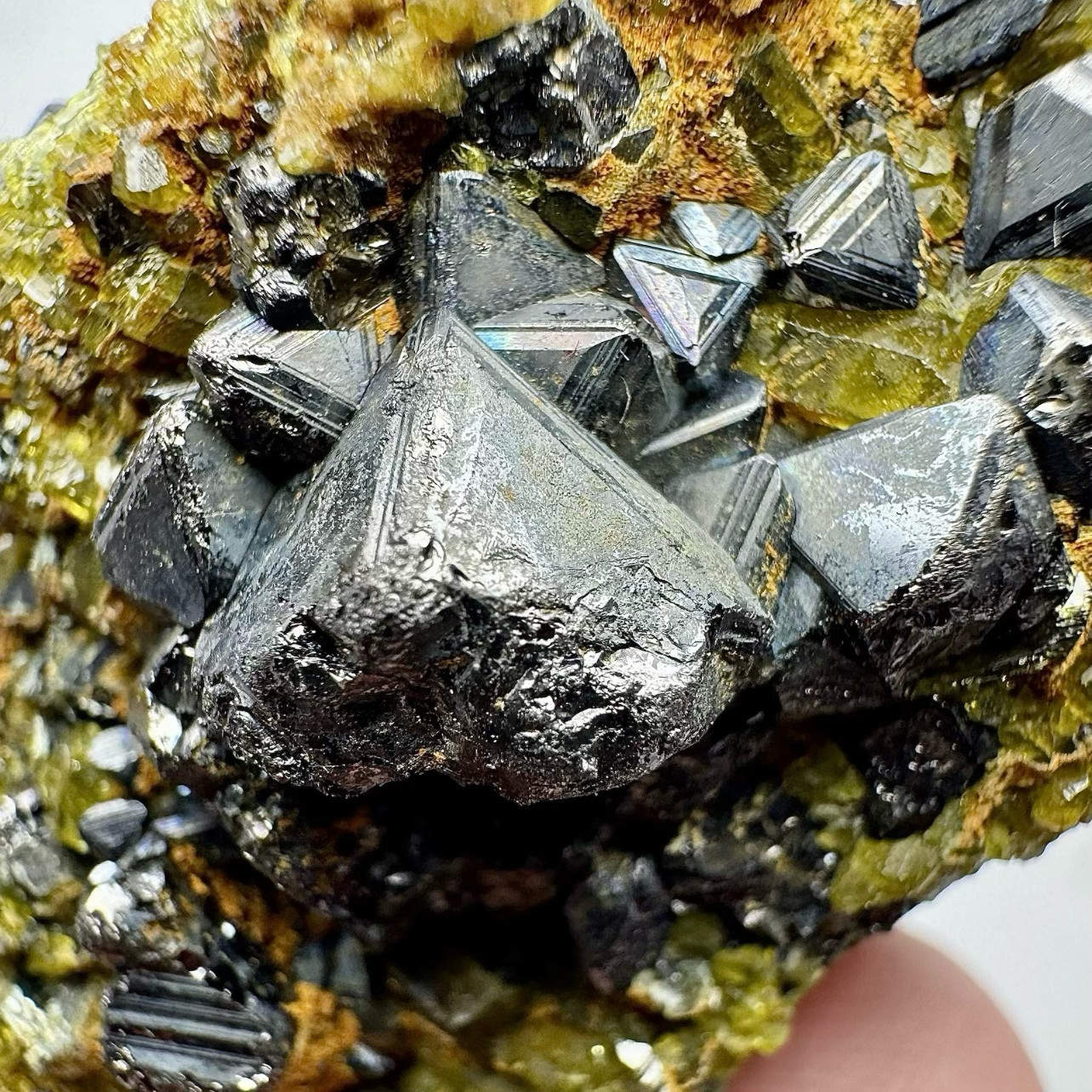 50 Gram Ultra Rare Magnetite W/Vesuvianite Crystals On Matrix From Afghanistan
