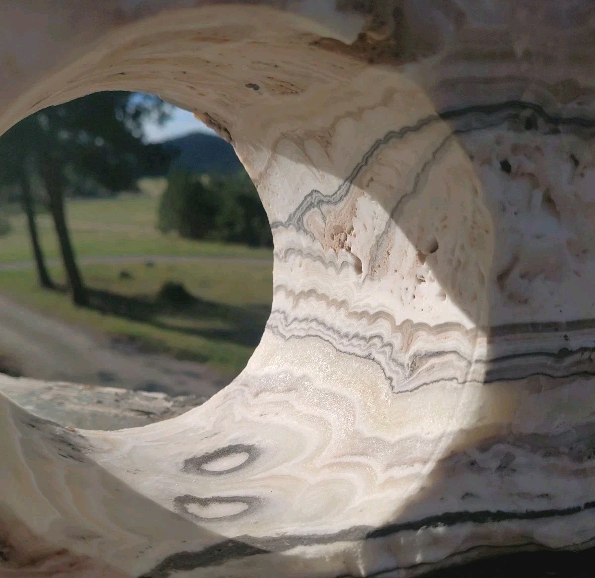 13.25Lb Zebra Calcite W CORED 4″ “Window” Display UV+ Bands Wrap Unique Décor