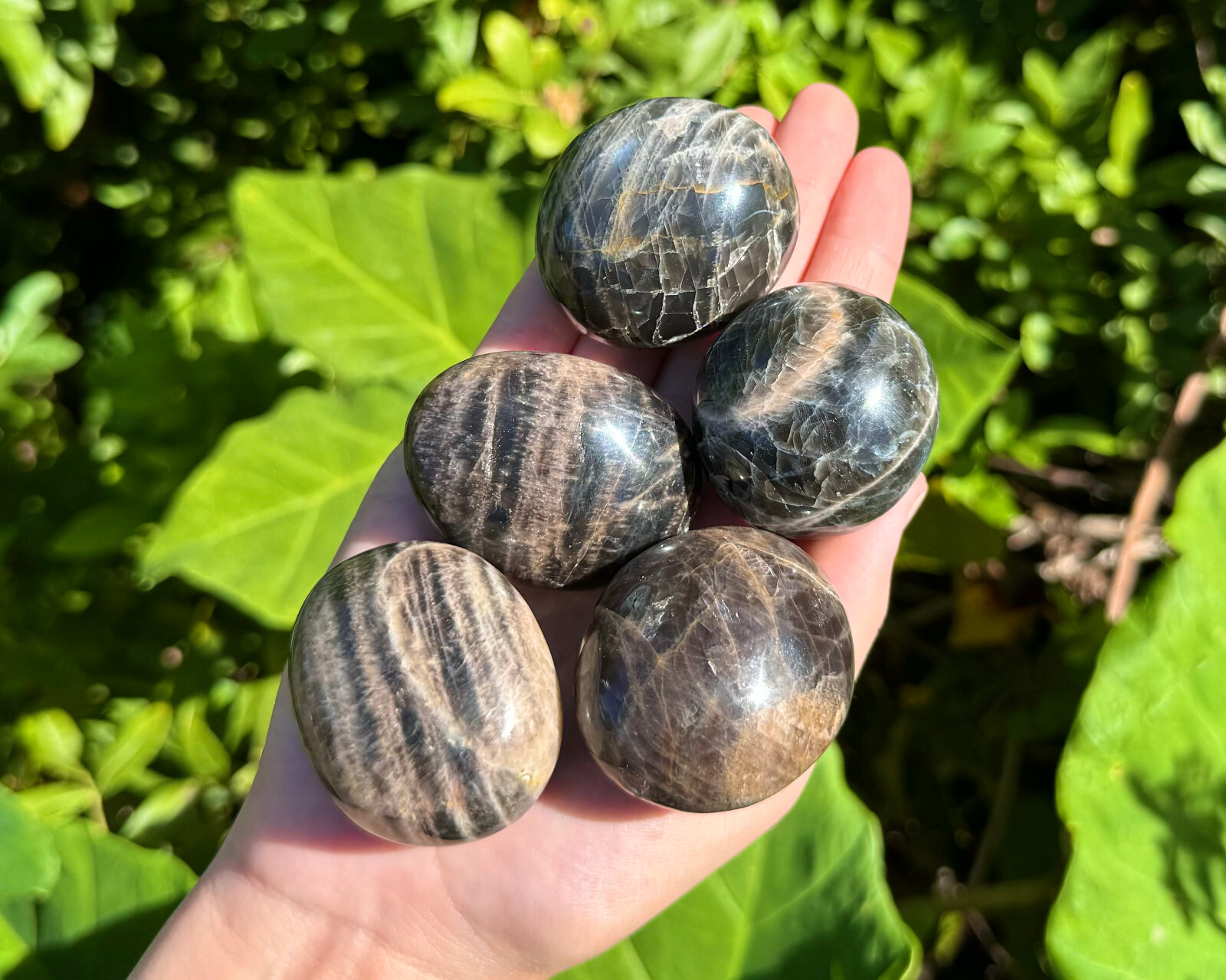 Black Moonstone Palm Stone: Hand Polished Moonstone Pebbles (Wholesale Bulk Lot)