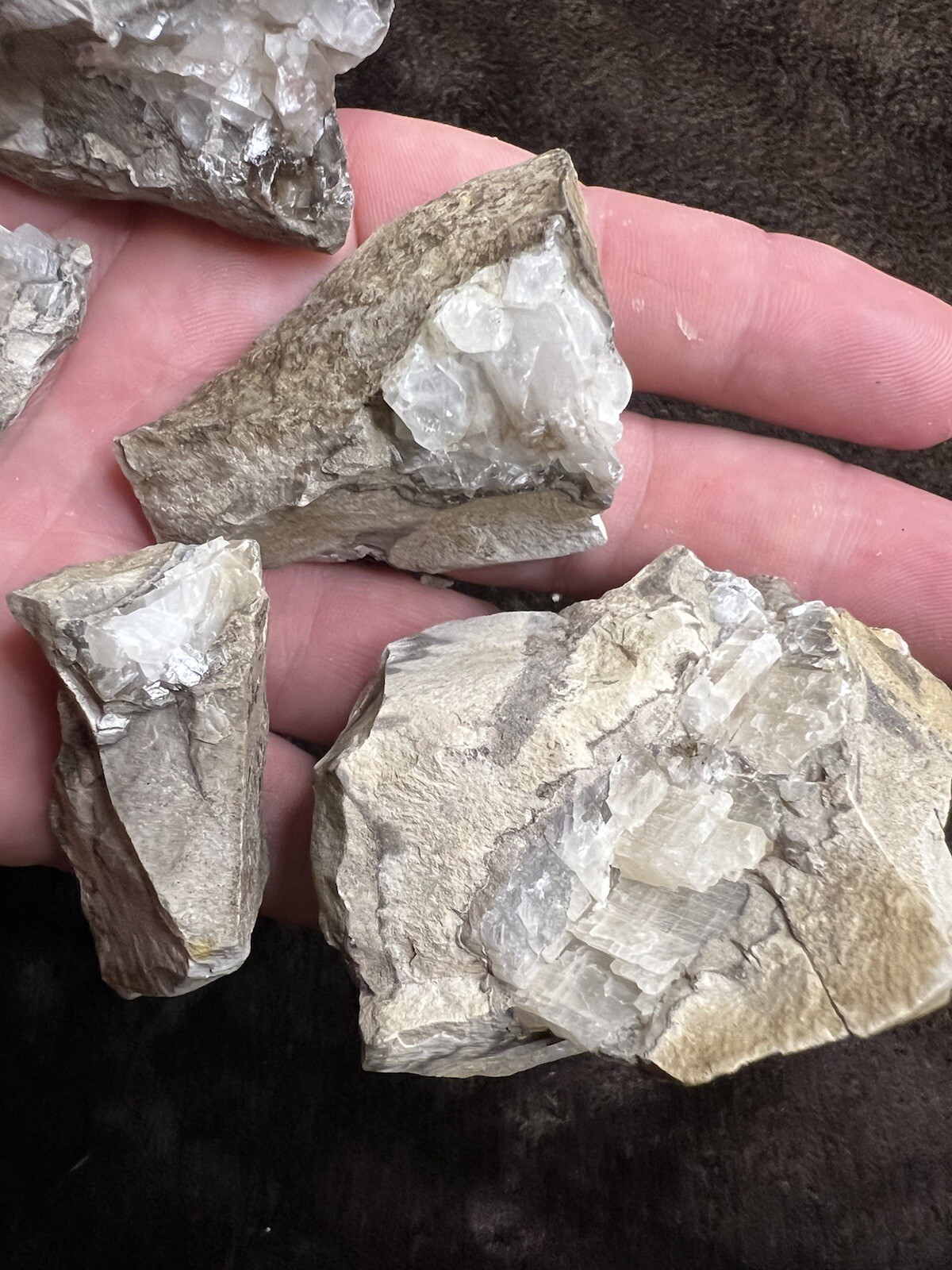 raw natural quartz crystal North East Mississippi Outcrop 5 Pieces