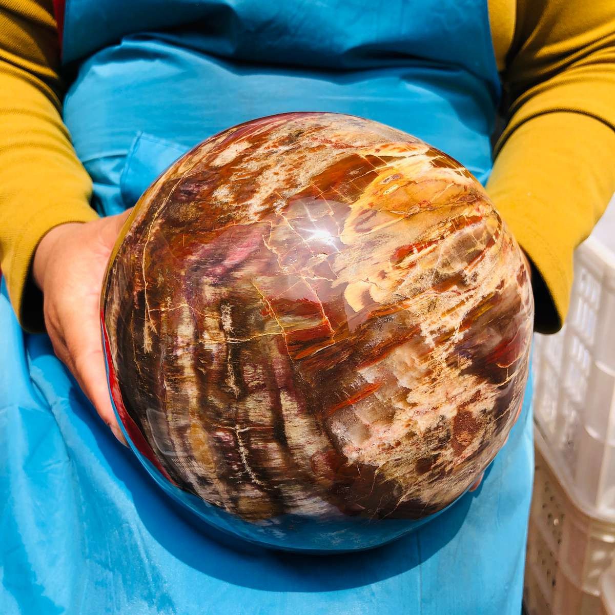 16.1LB Rare Natural Petrified Wood Ball Crystal Quartz Mineral Healing 4708