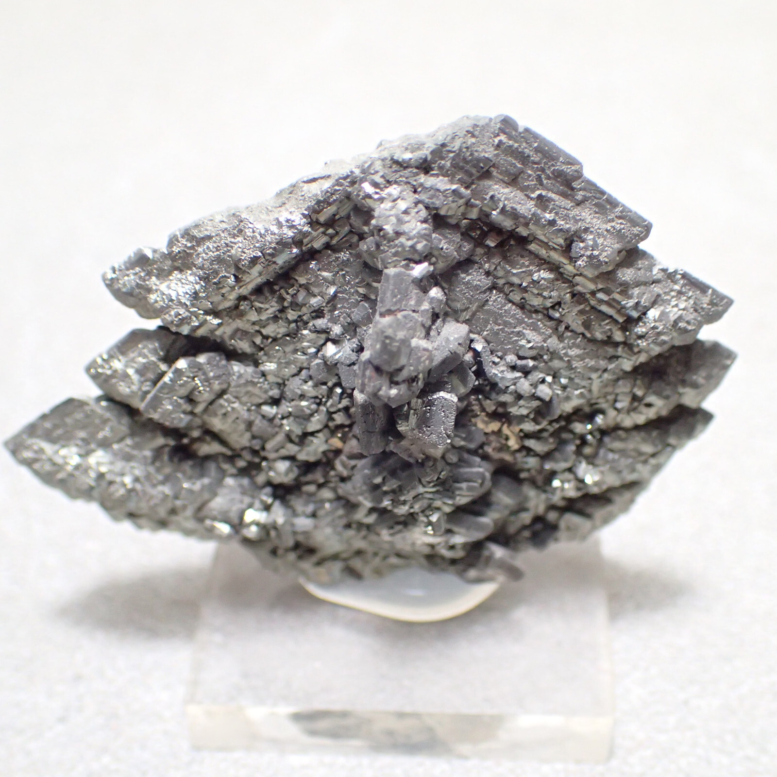 Marcasite, Nove Sedlo, Czech Republic