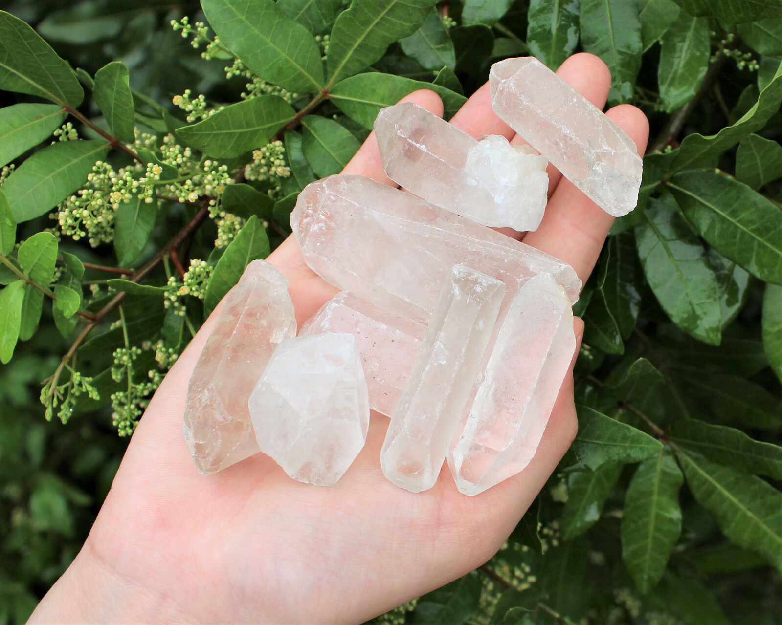 Bulk Wholesale 5 lb Lot CLEARANCE Natural Quartz Crystal Points (GREAT VALUE)