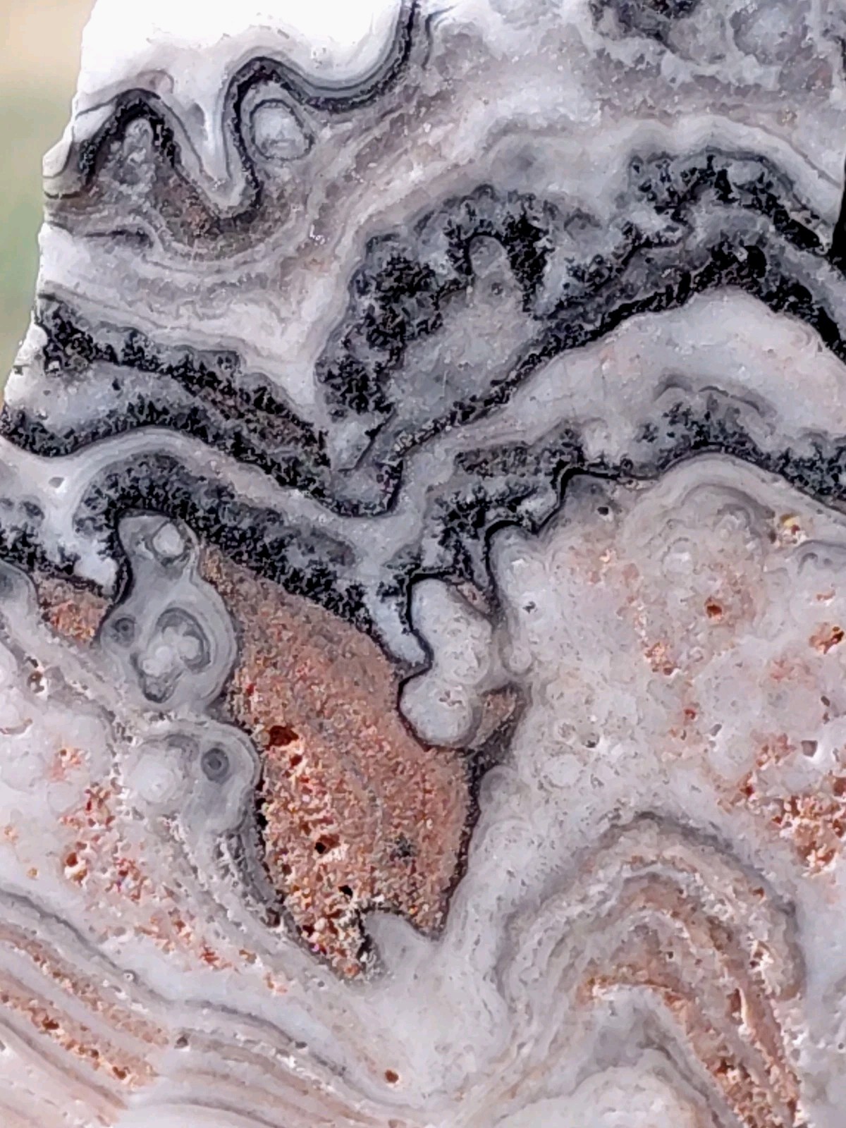 Zebra Calcite Self-Standing “Wedge” Dspl UV Psychedelic Wavey Band 3x 2 1/2″