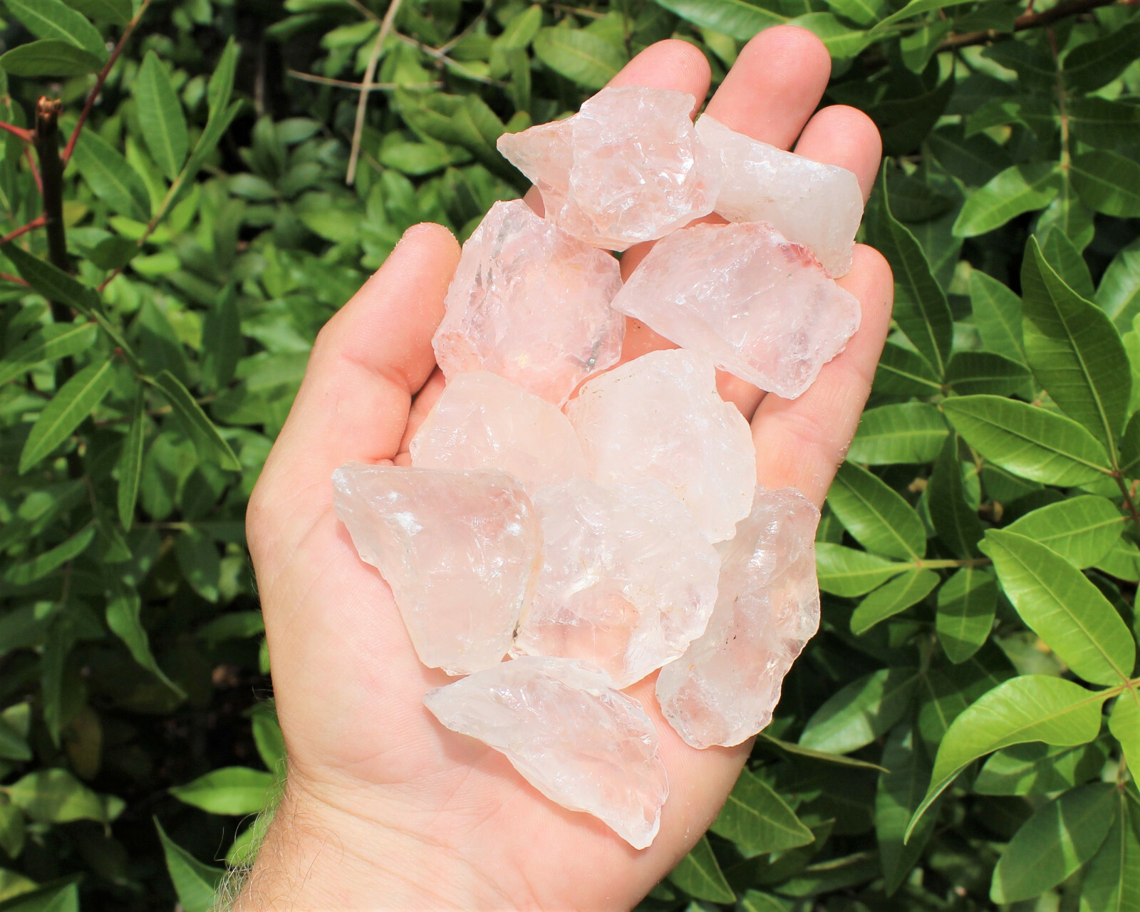 5 lb HUGE Bulk Lot of Natural Rough Girasol Opal Crystals (Raw Rock Quartz)