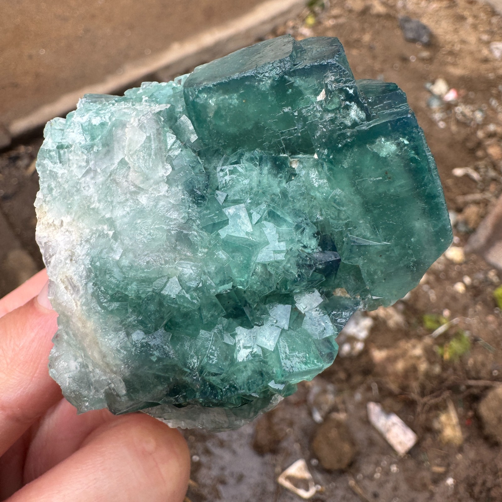 220G Natural cubic green fluorite crystal cluster rough mineral specimen Healing