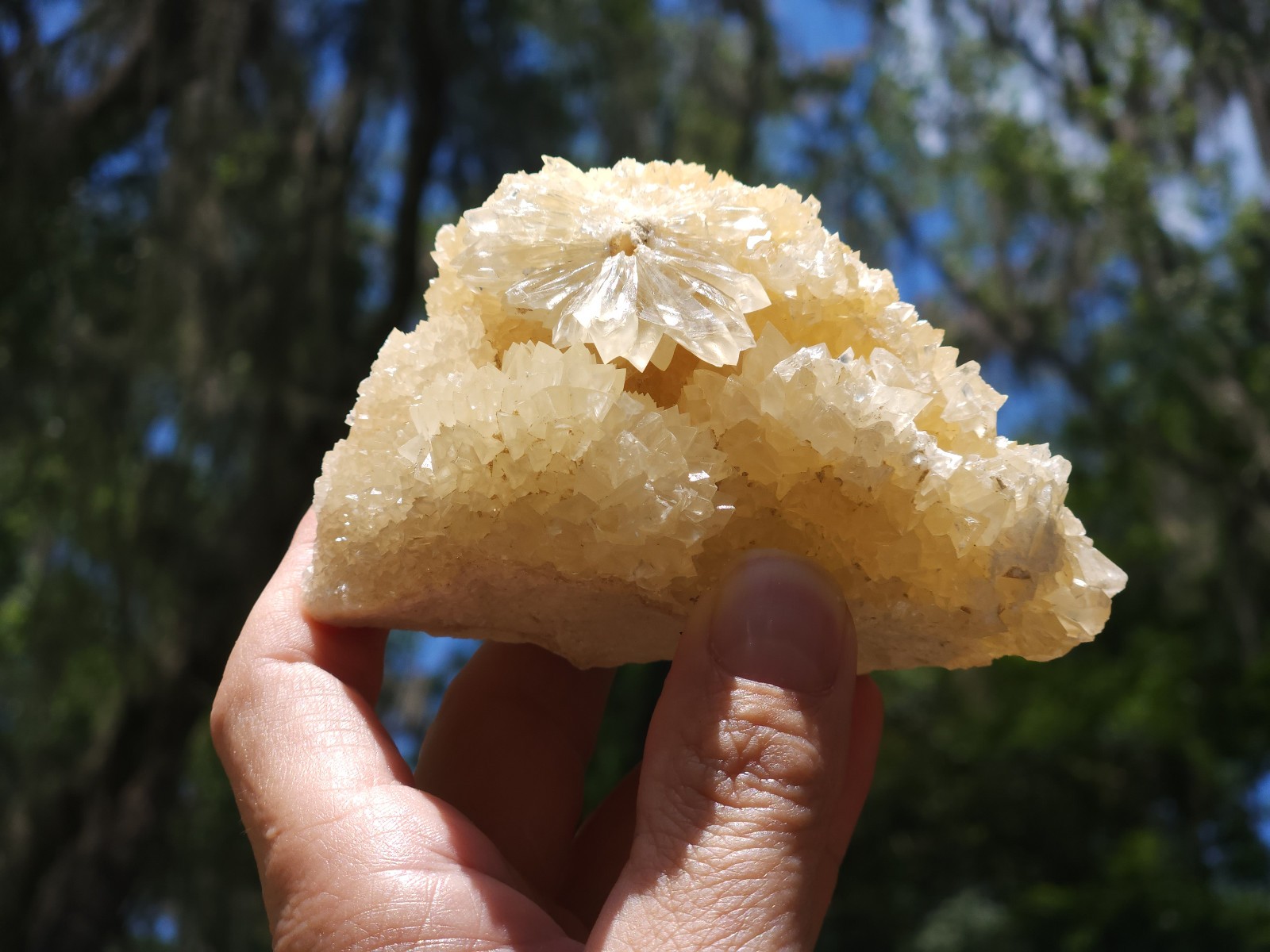 Florida Calcite Crystal Collection 5 pieces LOT Honey Clusters UV Mineral