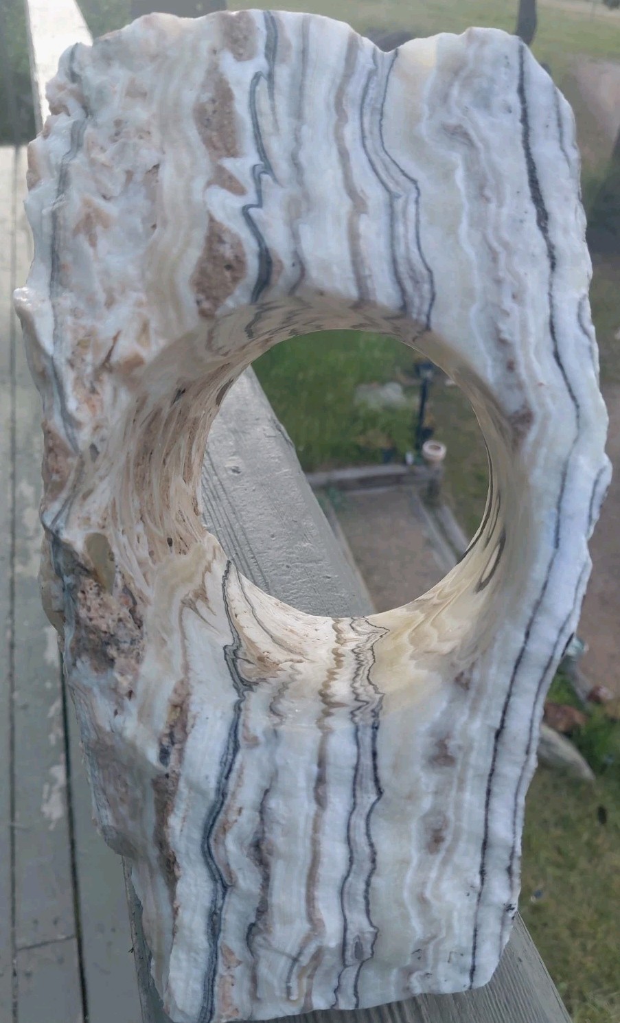 13.25Lb Zebra Calcite W CORED 4″ “Window” Display UV+ Bands Wrap Unique Décor